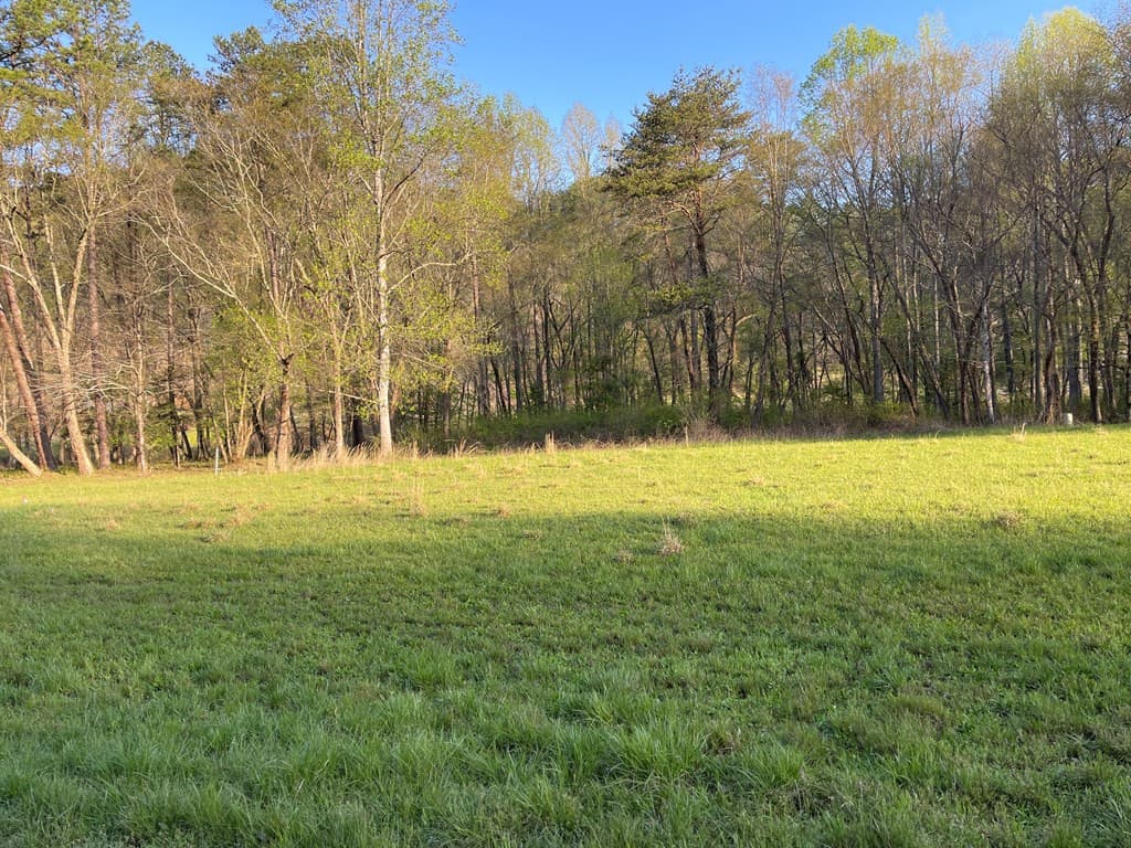 Residential Lot at 133 River Farm Drive, Murphy, NC 28906, photo 4 of 19
