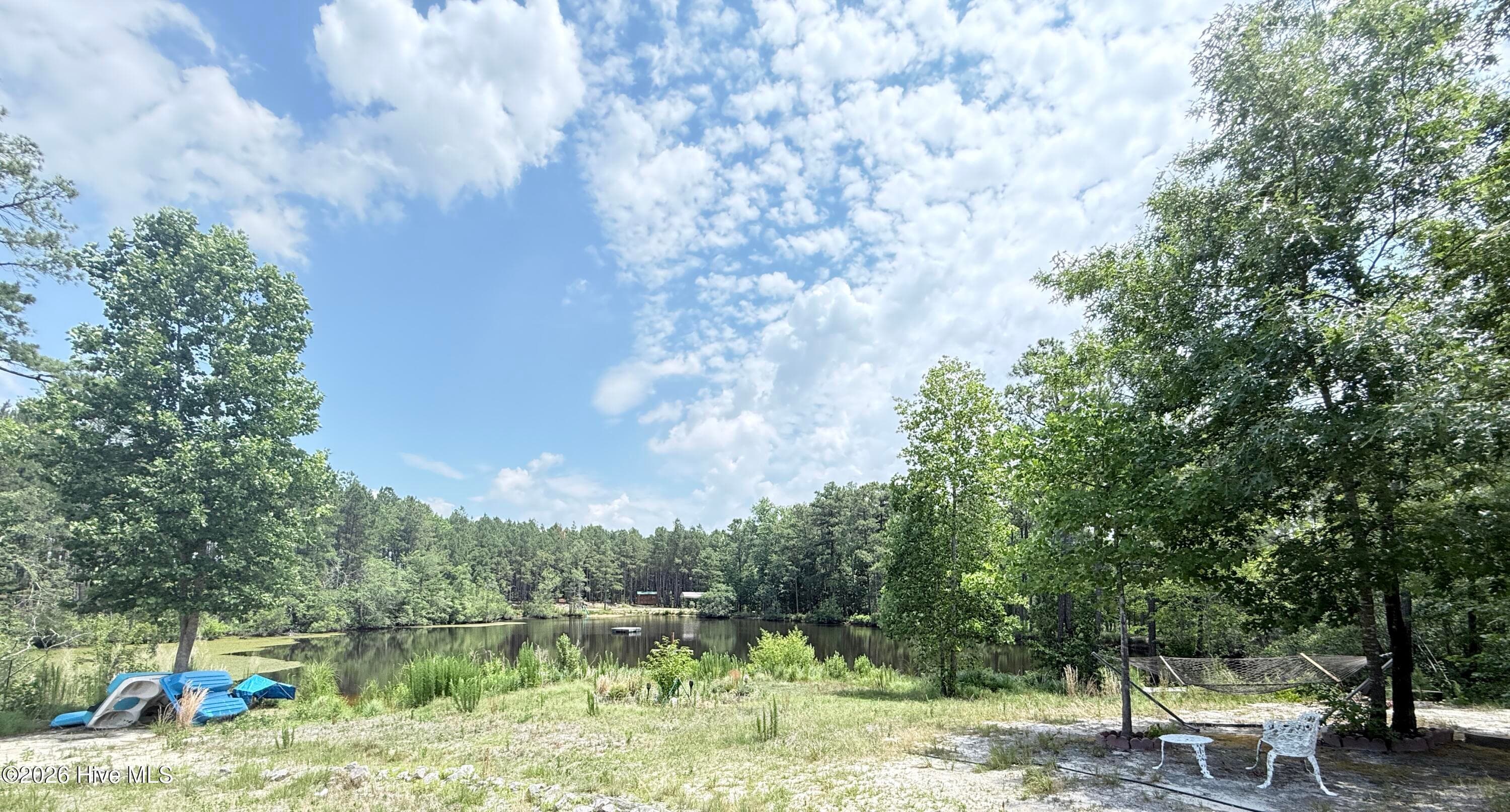 Single Family Residence at 137 Manley Road, Carthage, NC 28327, photo 45 of 64