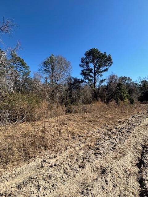 Agriculture at 0 Starfish Lane, Lyons, GA 30436, photo 5 of 8