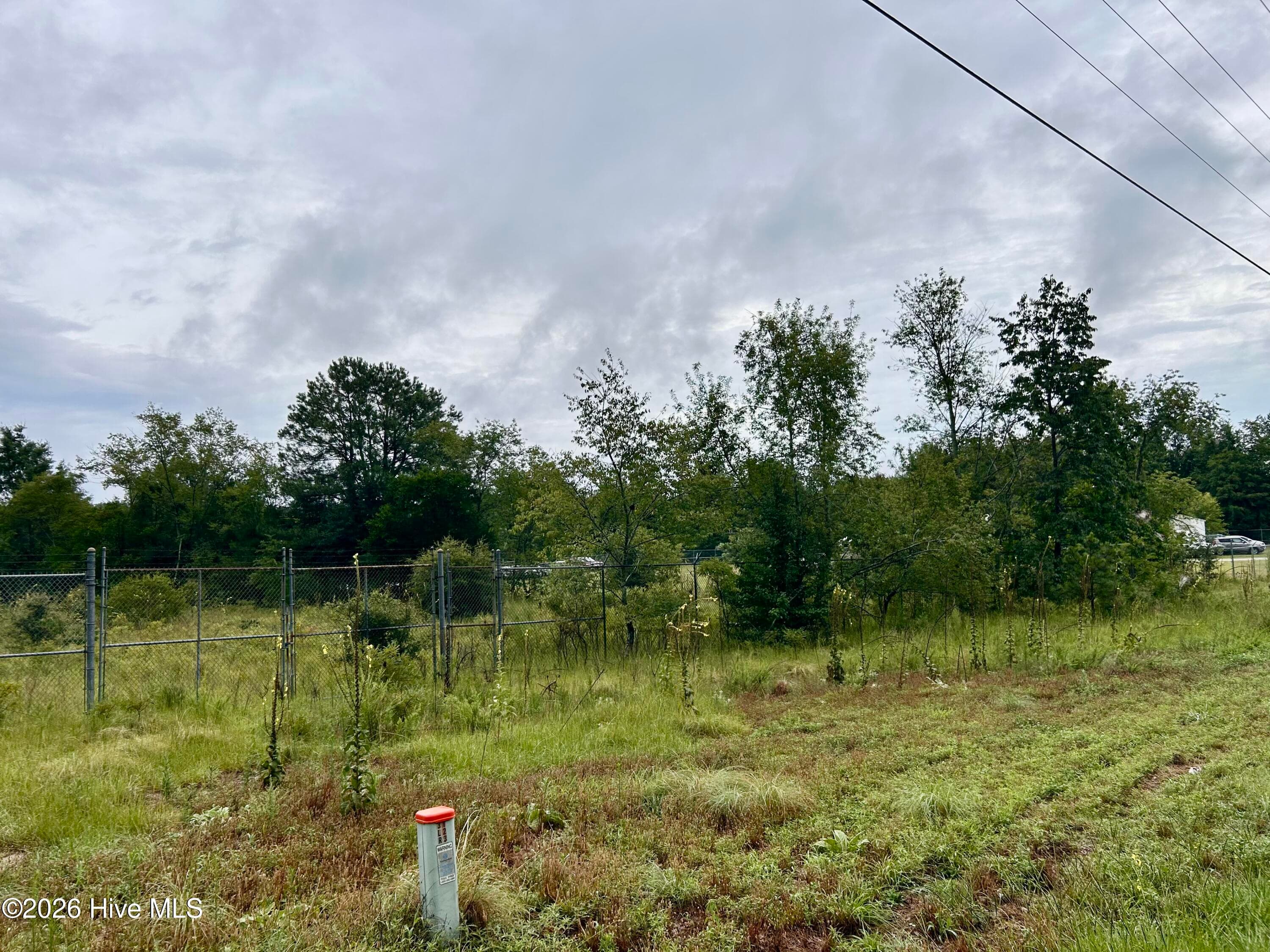 Commercial Sale at 0 Carolina 381, Hamlet, NC 28345, photo 6 of 8