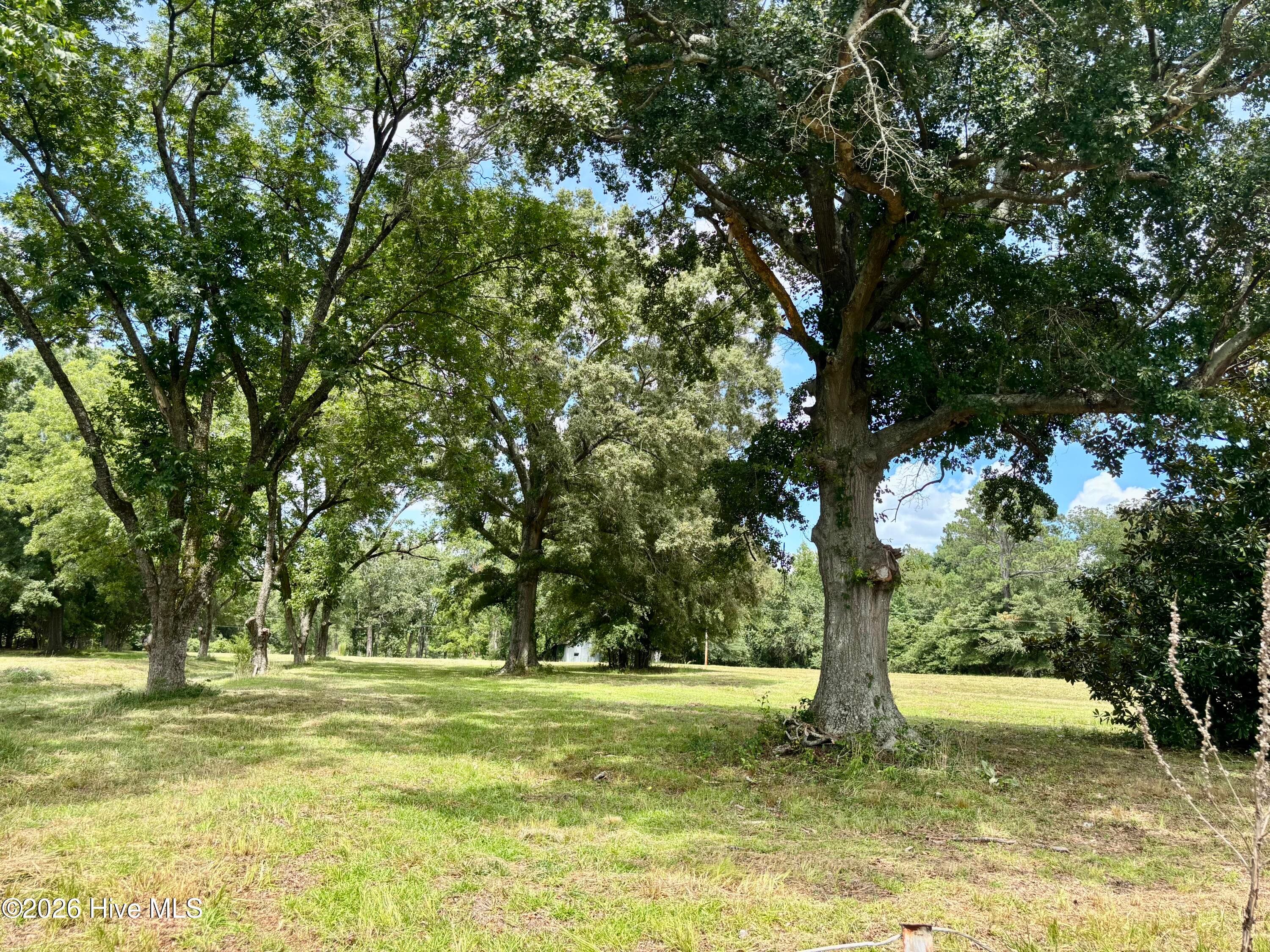 Undeveloped at Tbd Roberdel School Road, Rockingham, NC 28379, photo 12 of 41