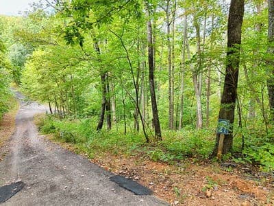 Residential Lot at Lot 21 21 Skyview, Hayesville, NC 28904, Hayesville, photo 4 of 15