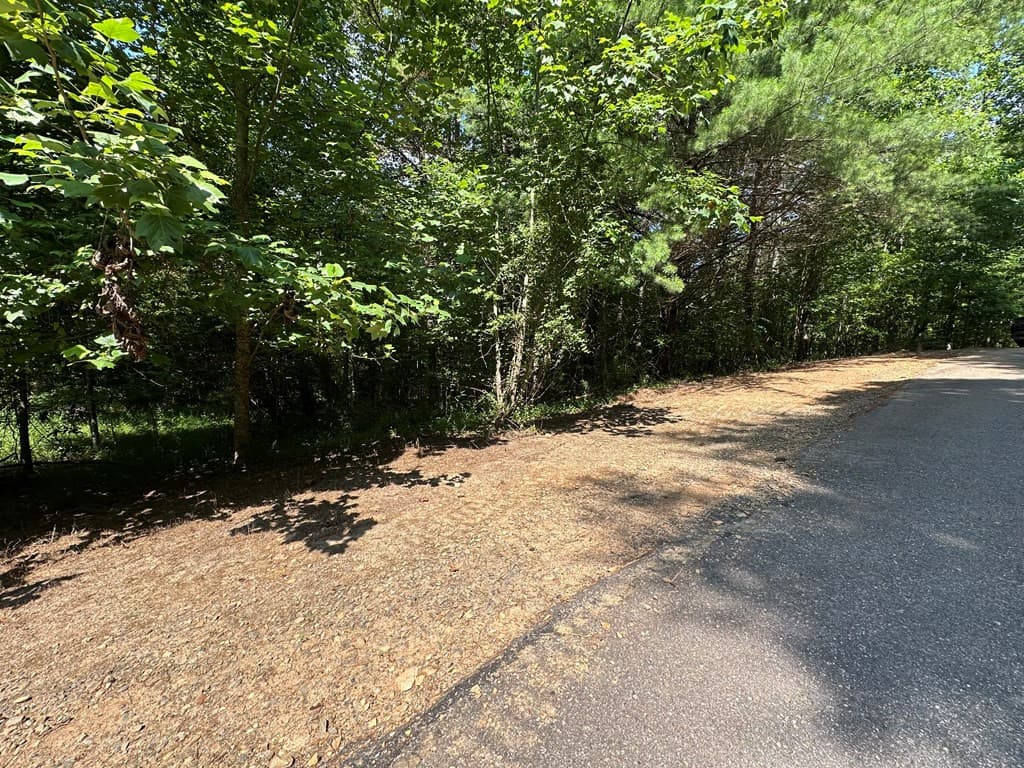 00 Choctaw Ridge Trail, Murphy, NC 28906