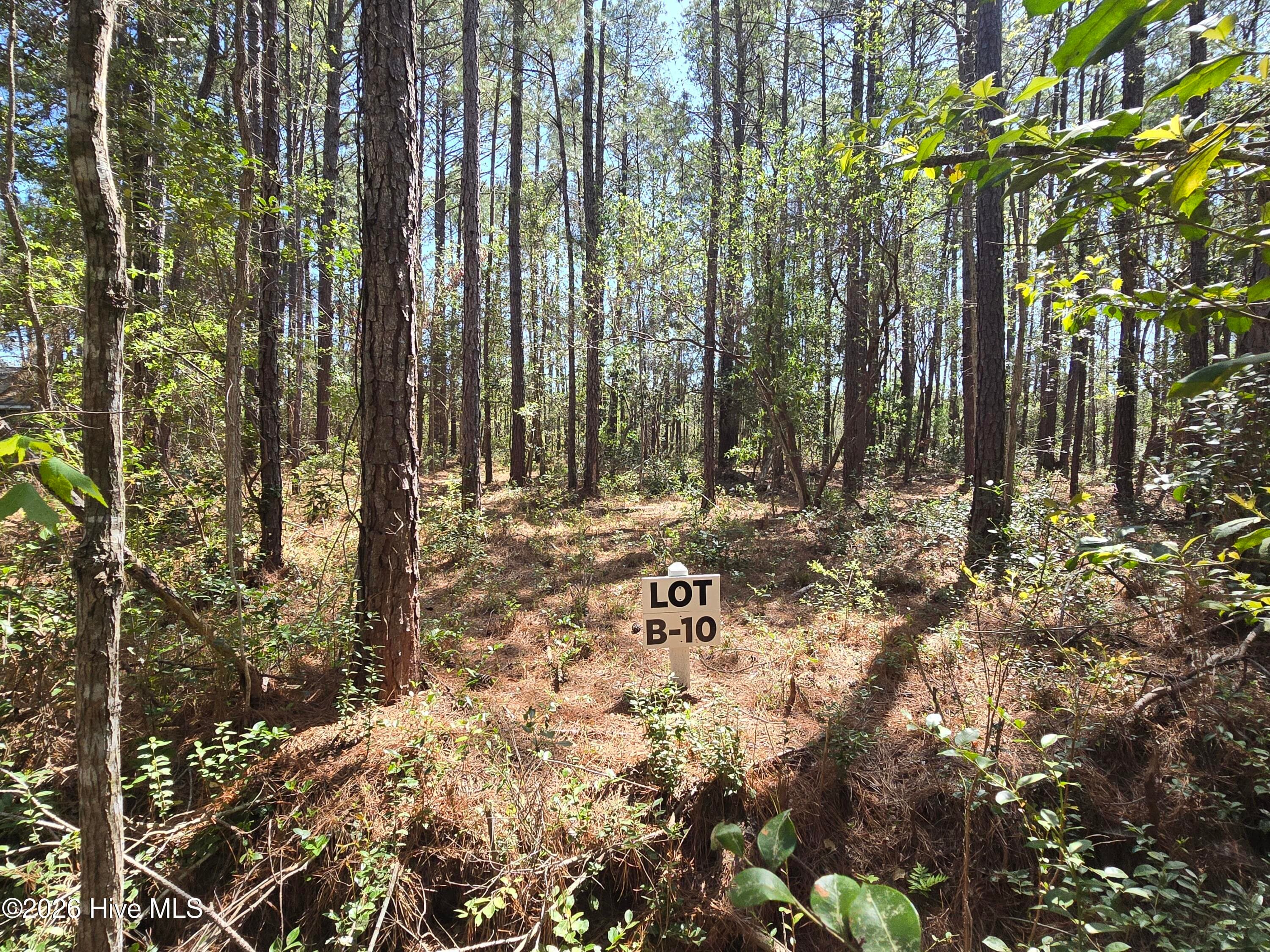Residential Lot at Lot B-10 B-10 Renee Drive, Hampstead, NC 28443, photo 2 of 6