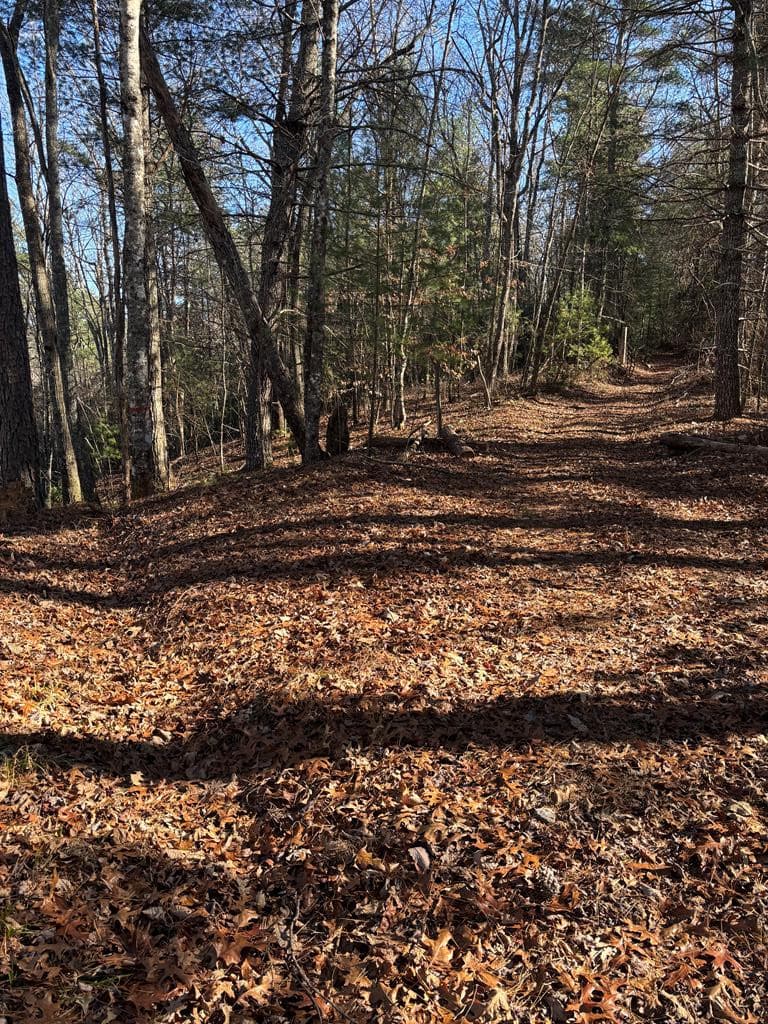 Land at Lot 60 Thundering Hill, Murphy, NC 28906