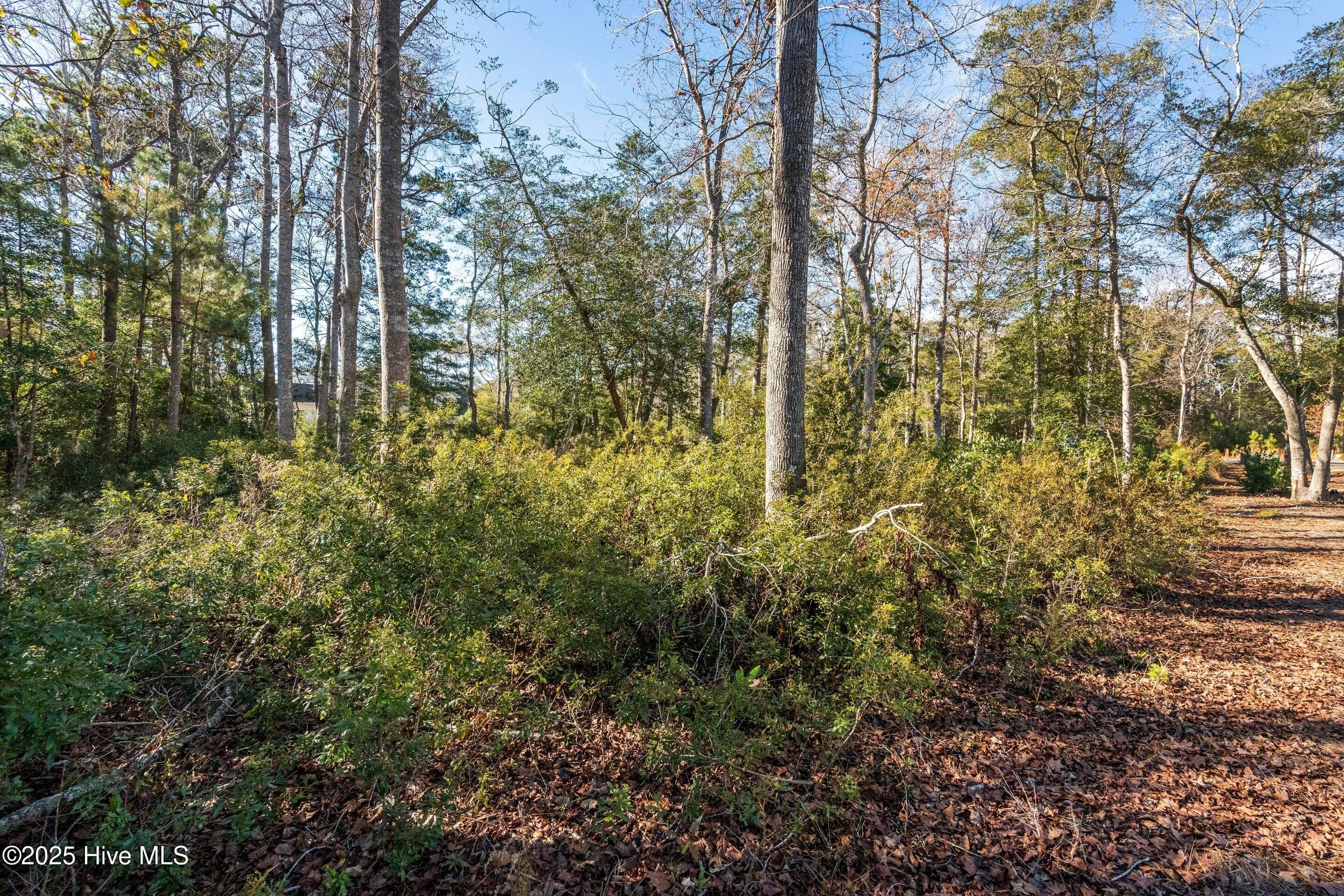 Residential Lot at 1872 185 Healing Water Lane SW, Supply, NC 28462, photo 12 of 29