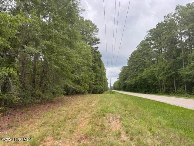 Undeveloped at 0 1 Nc Highway 210 Road, Currie, NC 28435, photo 7 of 10