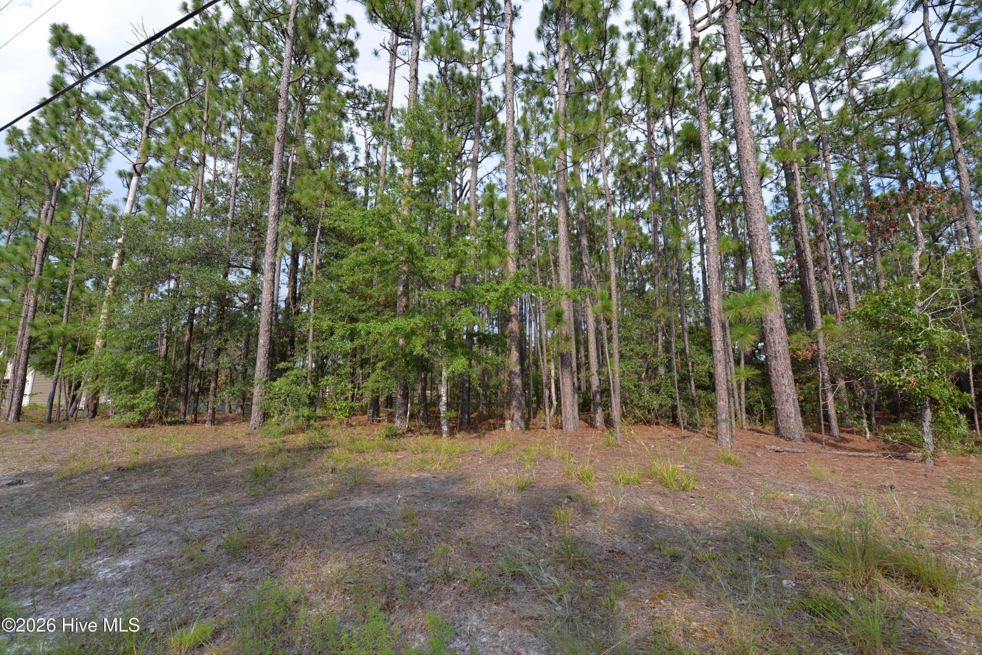 873 & 881 49,50,51 Eden Drive, Southport, NC 28461