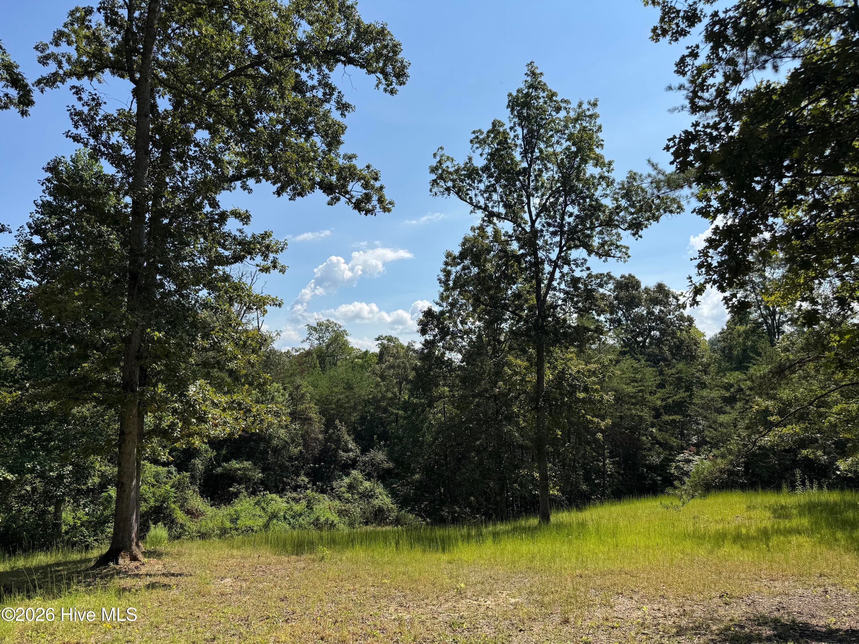 Residential Lot at 39 Spirit Bear Drive, Murphy, NC 28906, photo 6 of 18