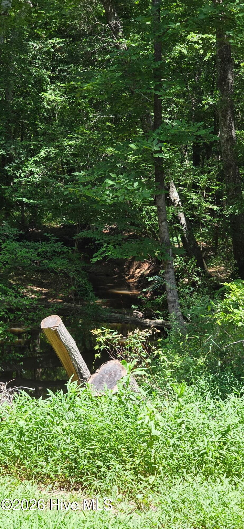 Wooded at 10a Chestnut Ridge Road, McCormick, SC 29835, photo 2 of 2