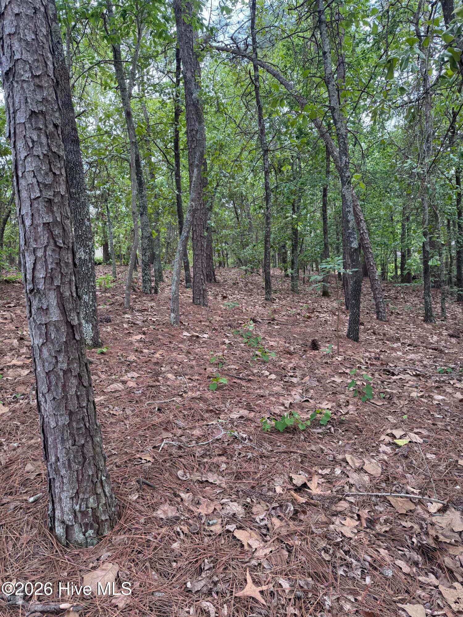 148 4177 Otter Drive, Seven Lakes, NC 27376