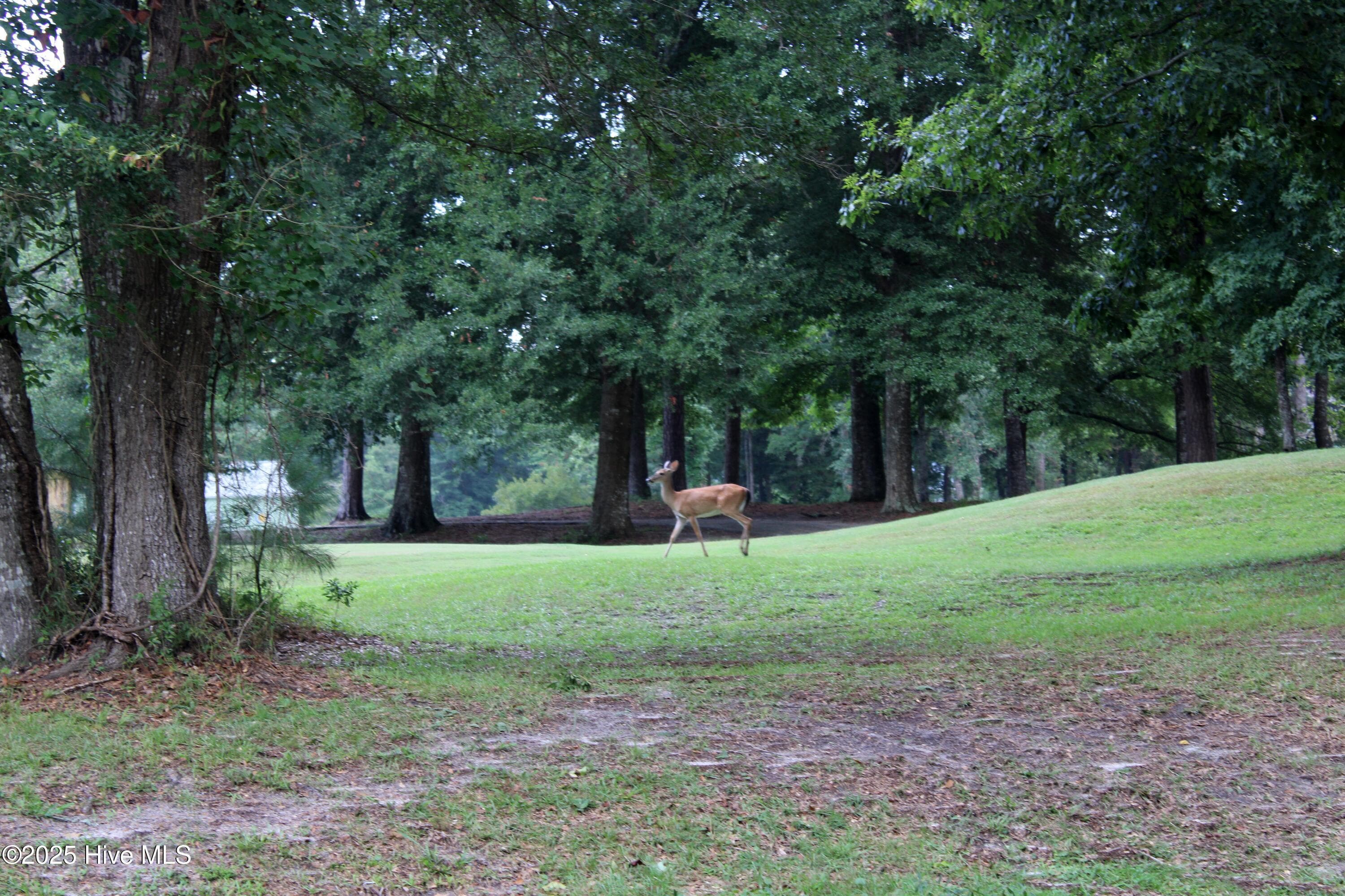 Residential Lot at 240 Genoes Point Road SW, Supply, NC 28462, photo 17 of 17
