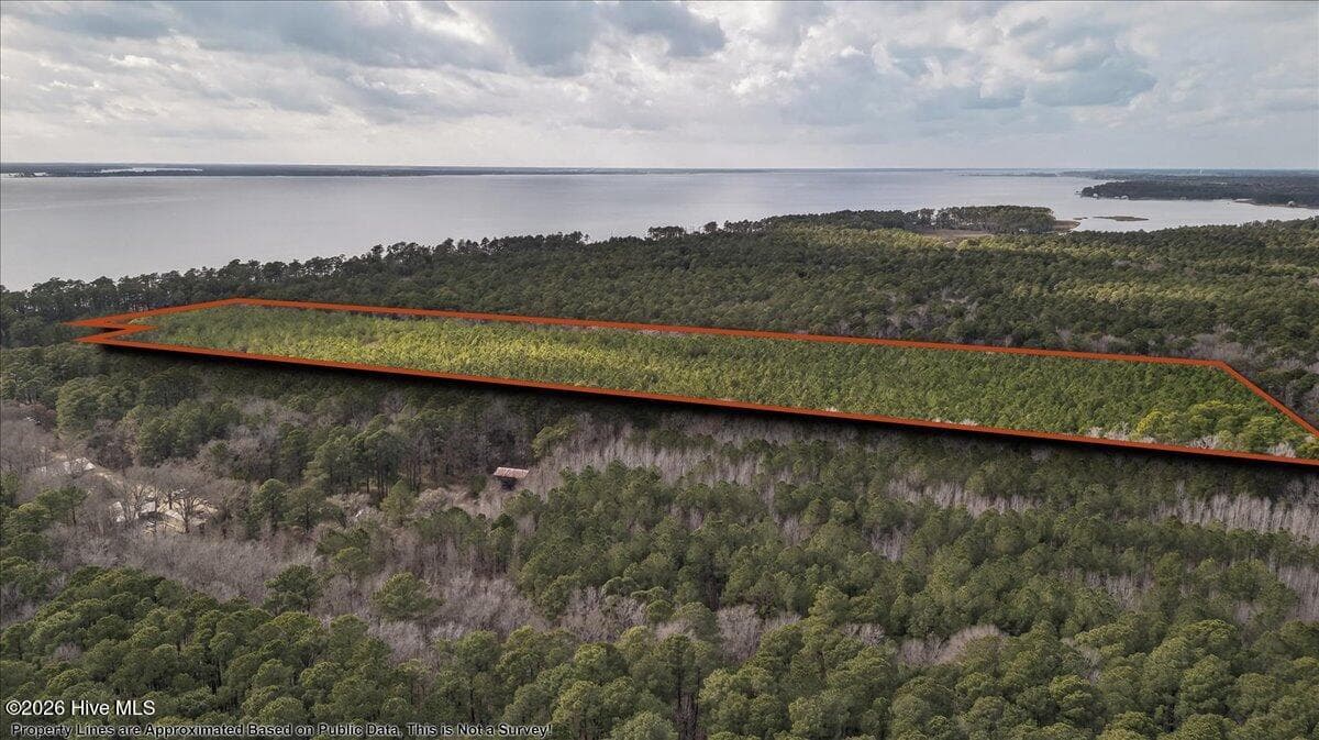 Wooded at 2162 Old Pamlico Beach Road W, Belhaven, NC 27810, photo 15 of 25