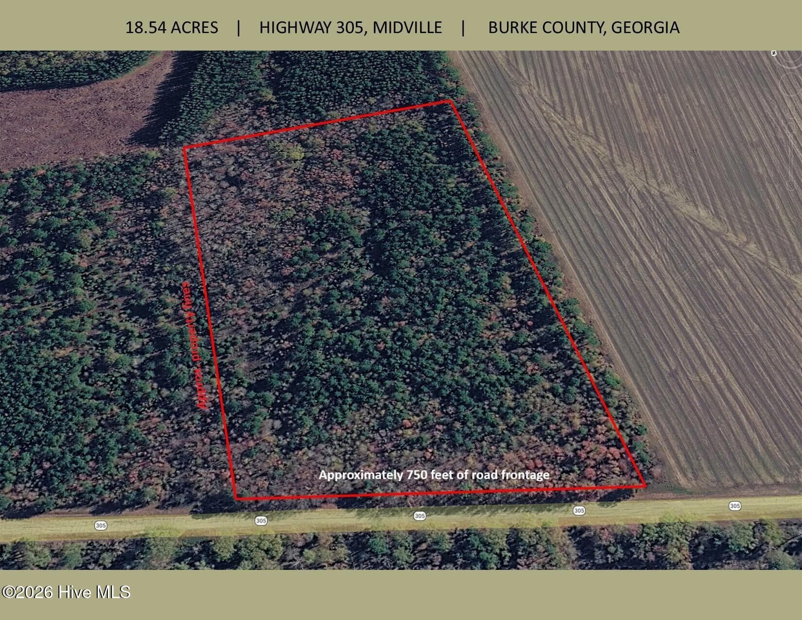18.5 Acres Georgia 305 Highway, Midville, GA 30441