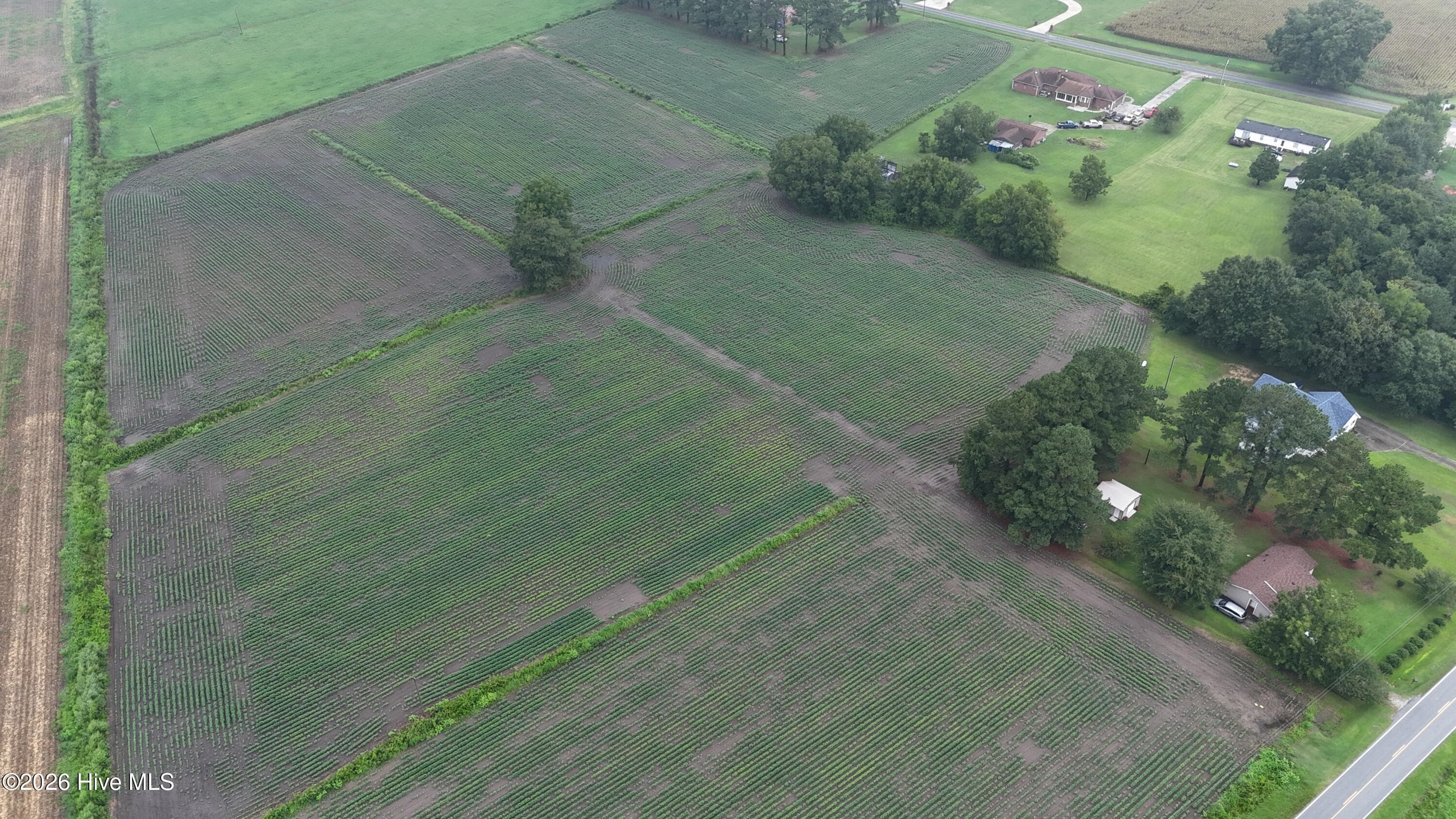 Agriculture at Near 128 Bay Rd., Rose Hill, NC 28458, photo 20 of 21