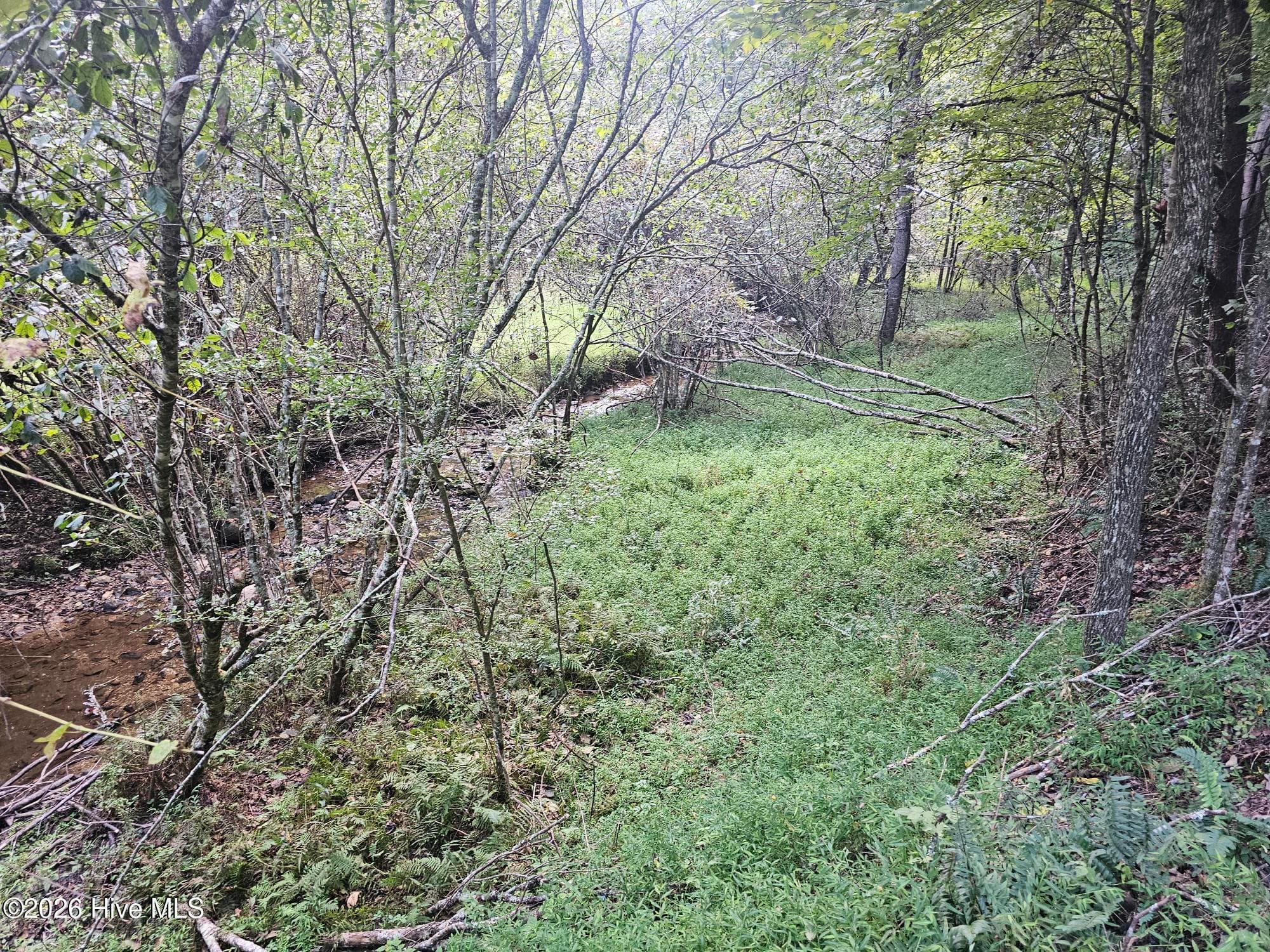 Residential Lot at 0 Wildcat Drive, Murphy, NC 28906, photo 6 of 11