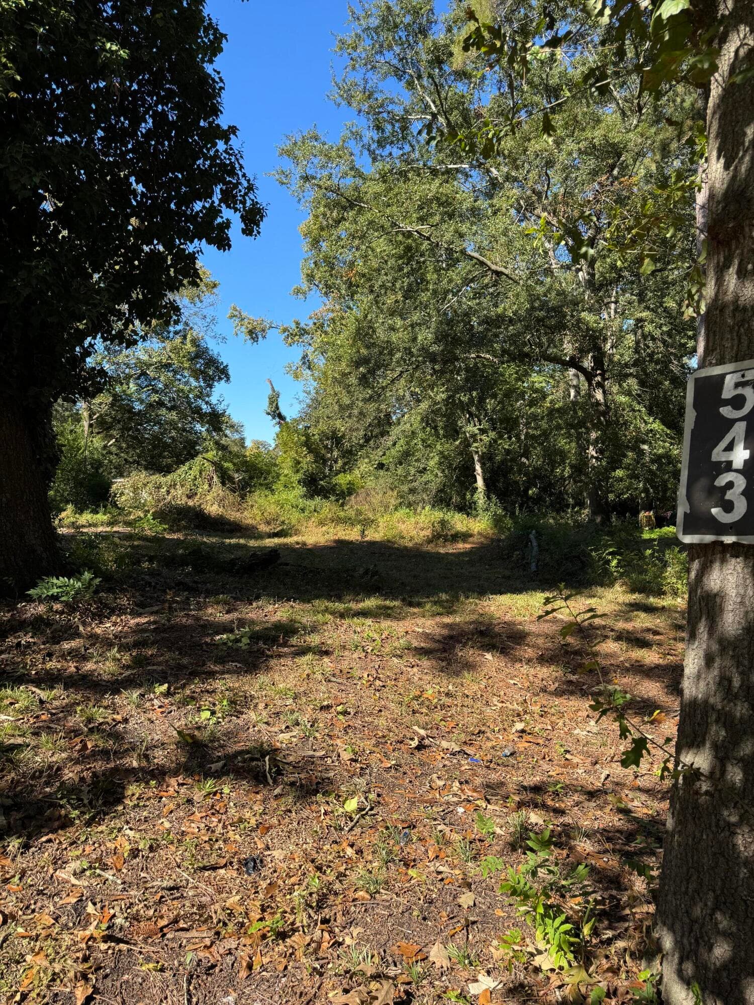 Residential Lot at 543 Basin Street, Augusta, GA 30909, photo 4 of 8