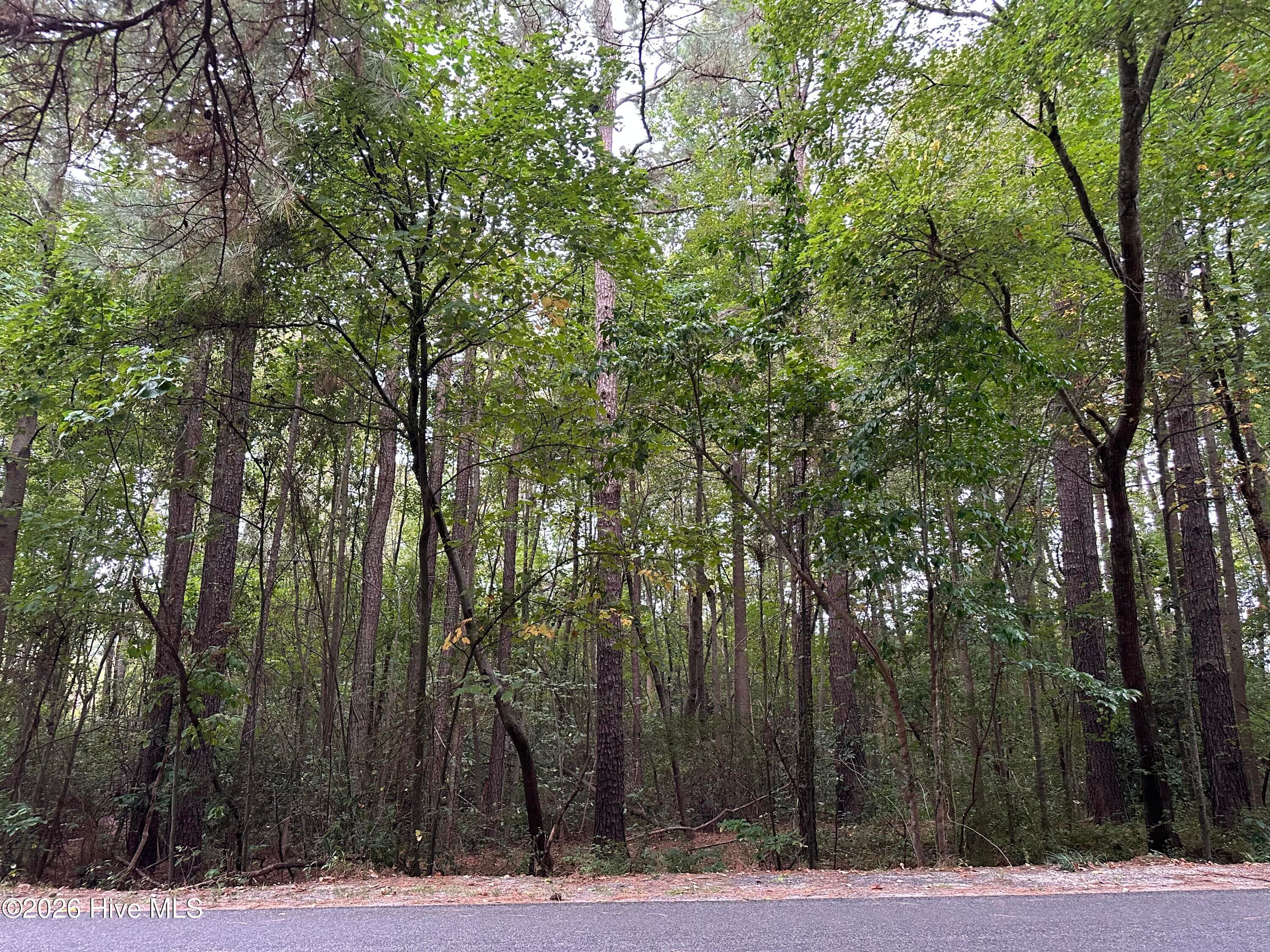 From Street - 134 Bellhaven Drive, Carthage, NC 28327
