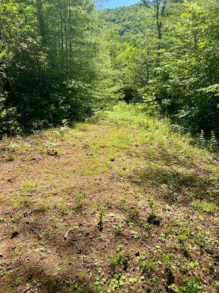 Land at 00 Deer Run, Robbinsville, NC 28771, photo 7 of 8