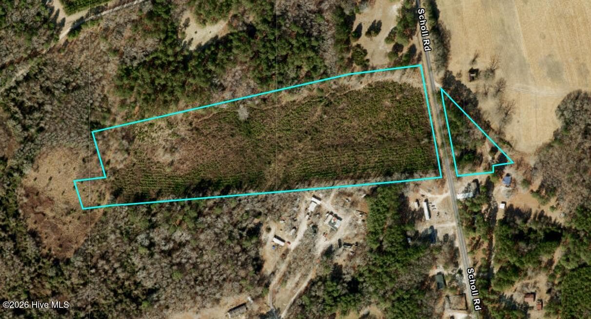 Tract 2 Scholl Rd, Hamlet, NC 28345