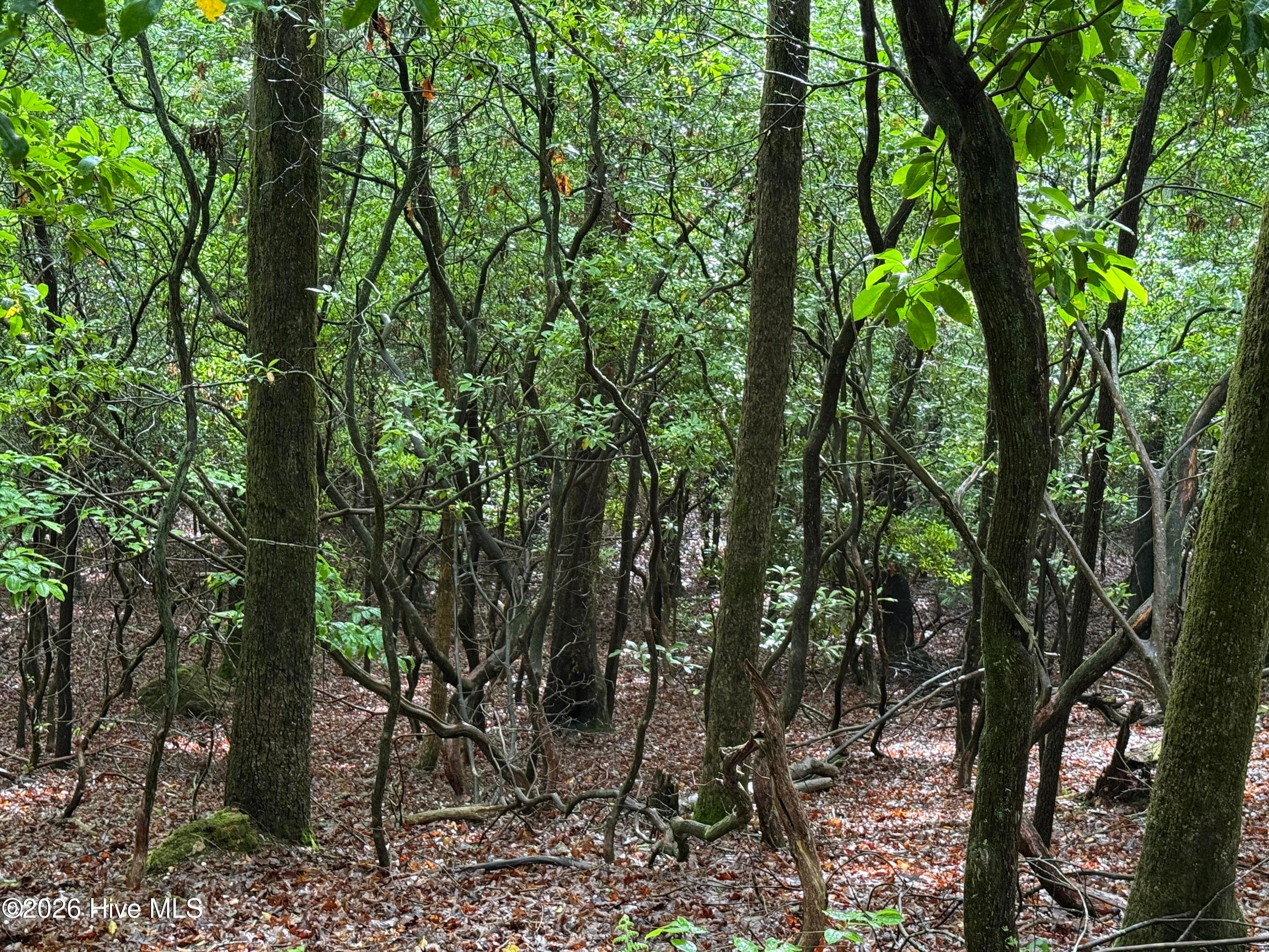 Lot 28 Atoah Loop, Murphy, NC 28906