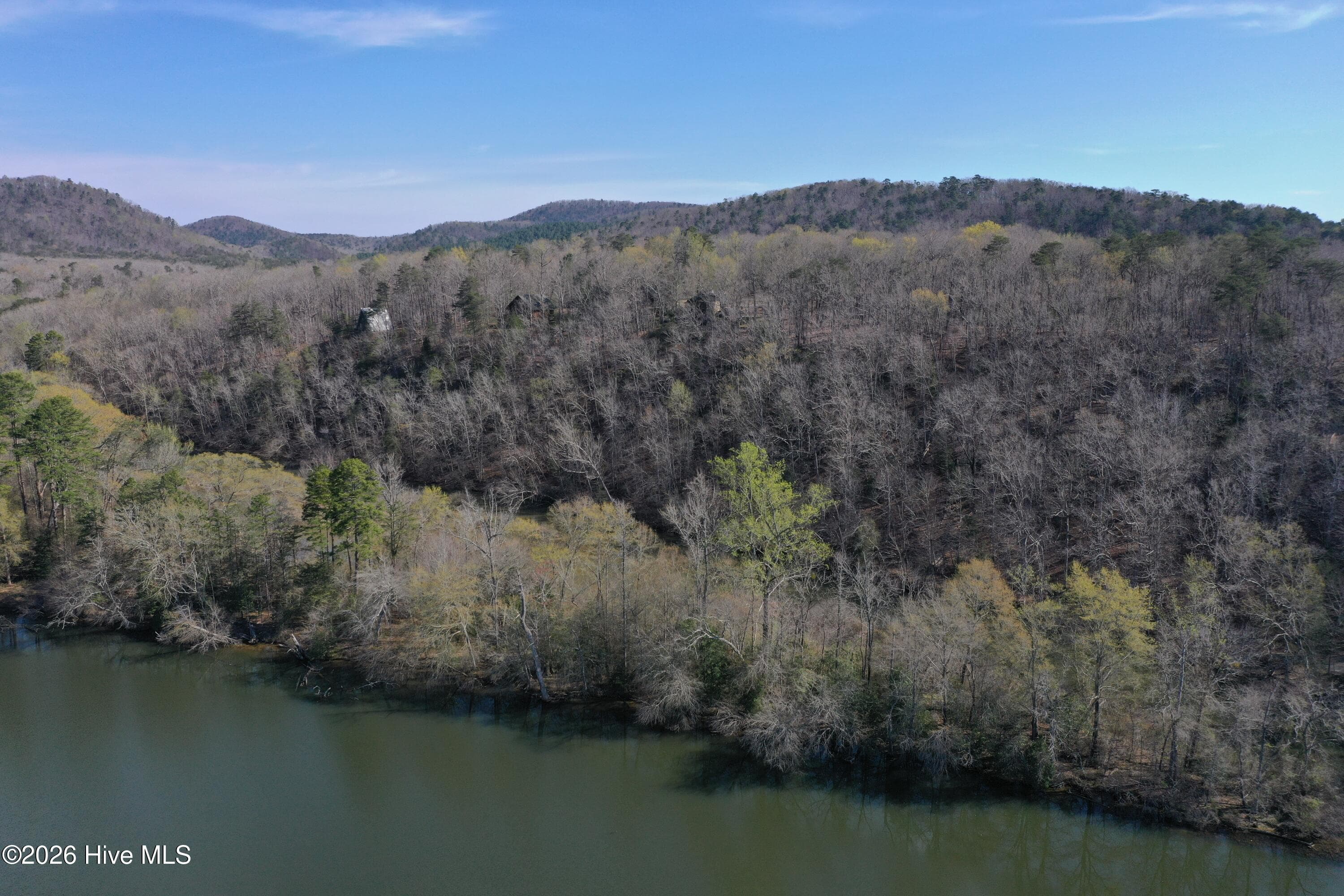 Undeveloped at Tbd Haltiwanger Retreat Road, Troy, NC 27371, photo 4 of 21