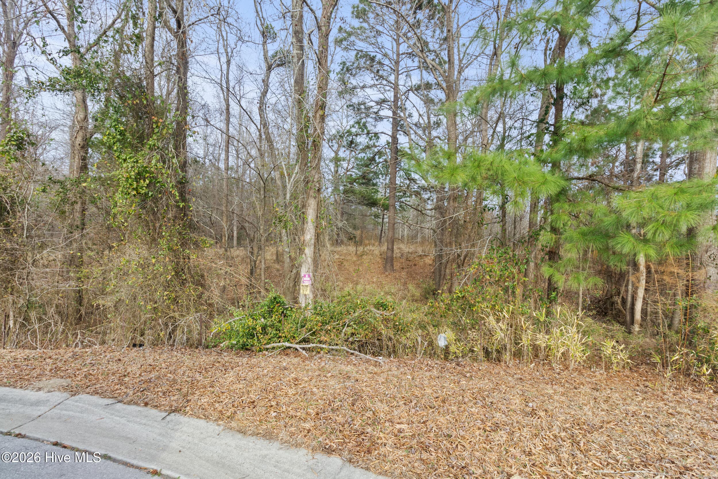 Undeveloped at 2711 Old Airport Road, New Bern, NC 28562, photo 21 of 23