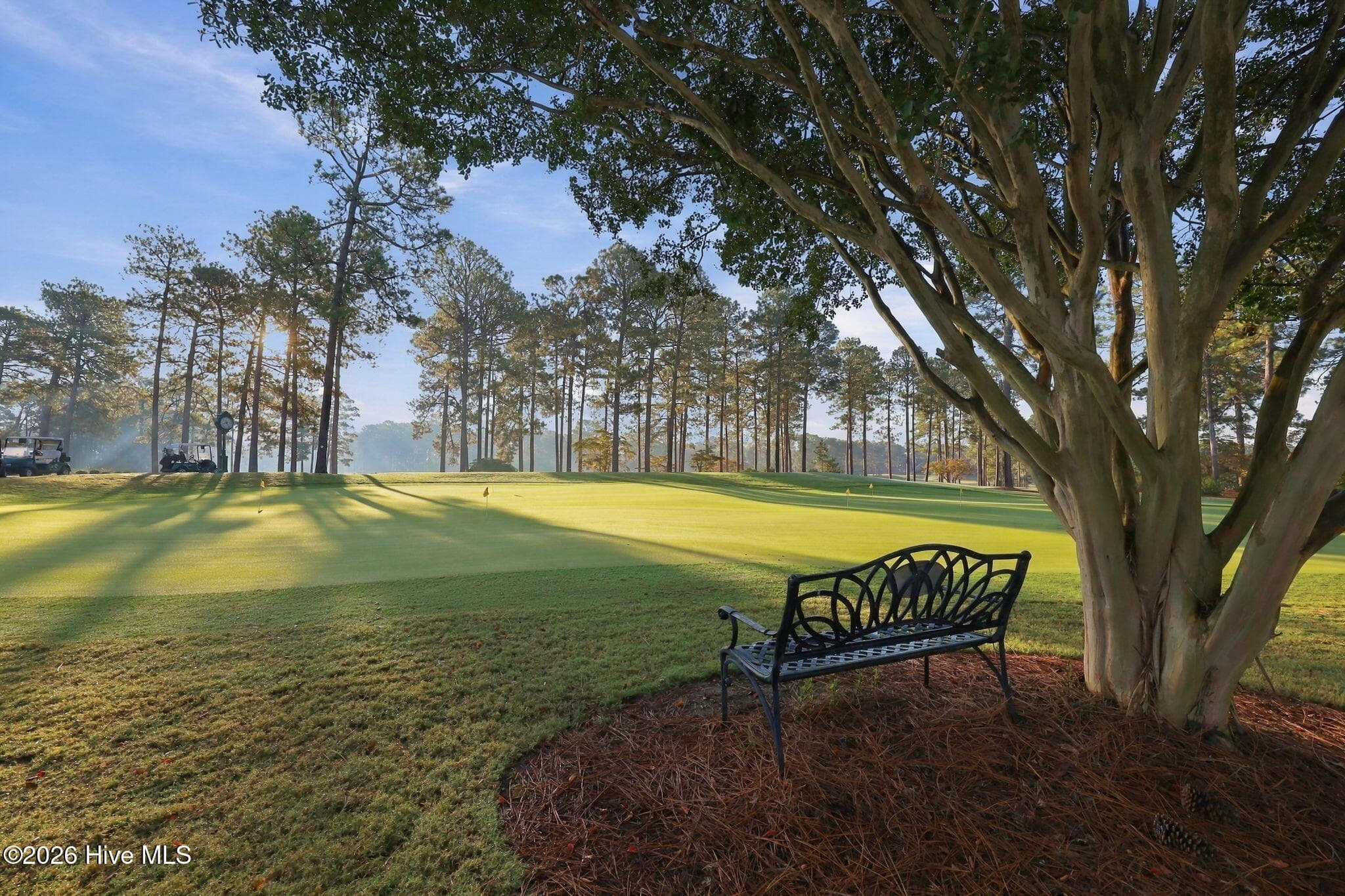Single Family Residence at 70 Royal Dublin Downs, Pinehurst, NC 28374, photo 51 of 53