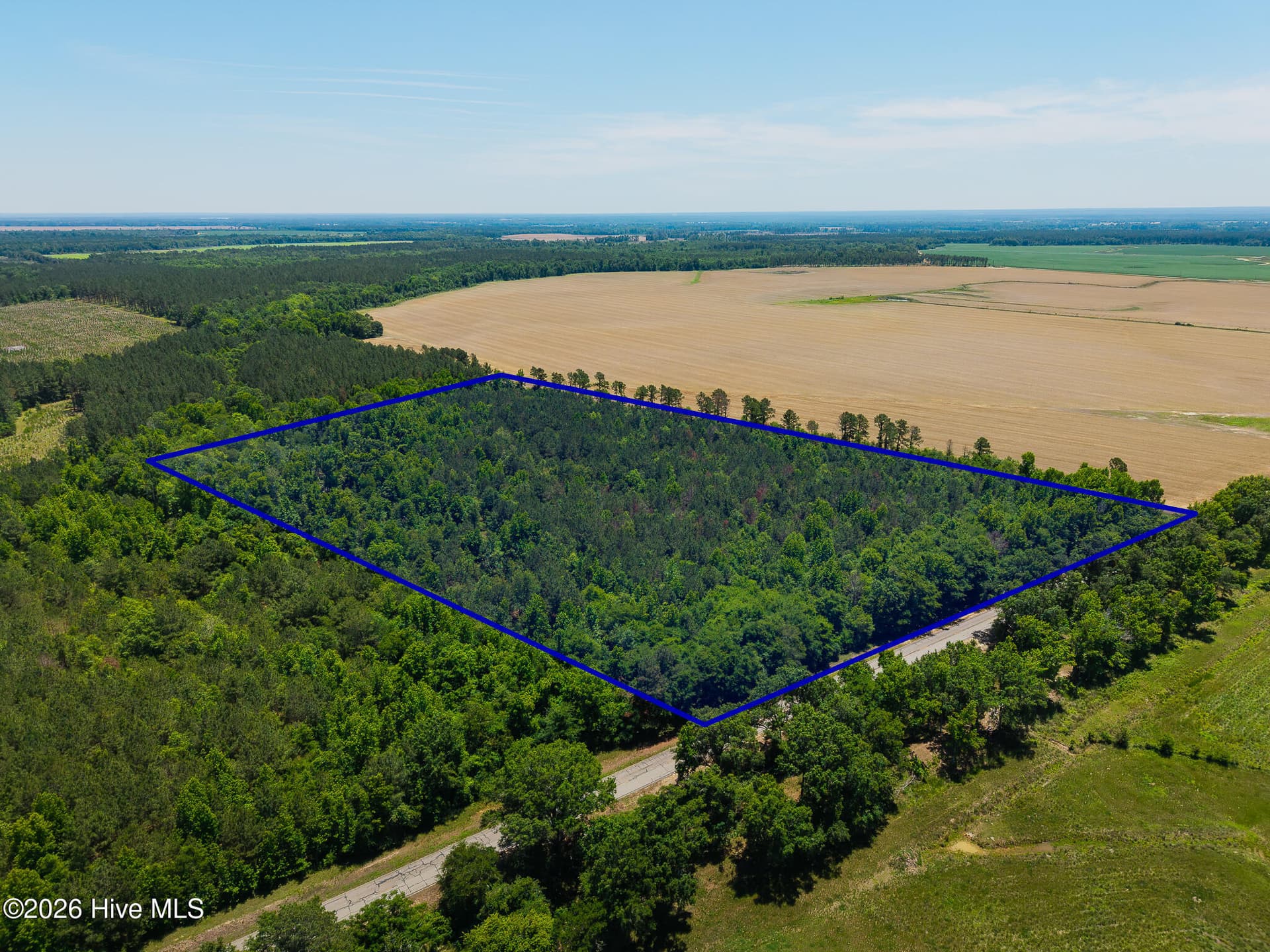 Undeveloped at 18.5 Acres Georgia 305 Highway, Midville, GA 30441, photo 7 of 7