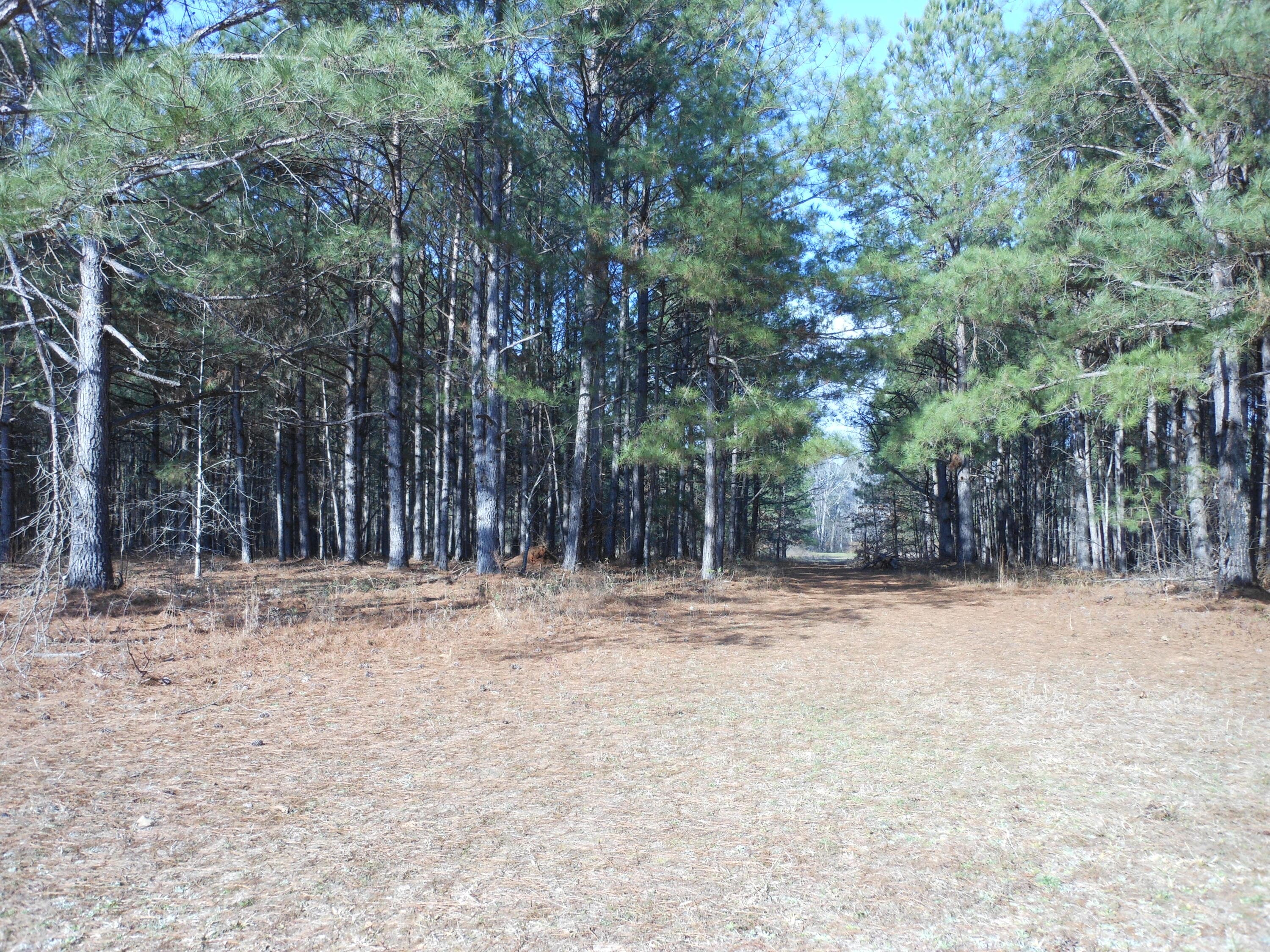 Undeveloped at 0 Ponderosa Road, Waynesboro, GA 30830, photo 39 of 45
