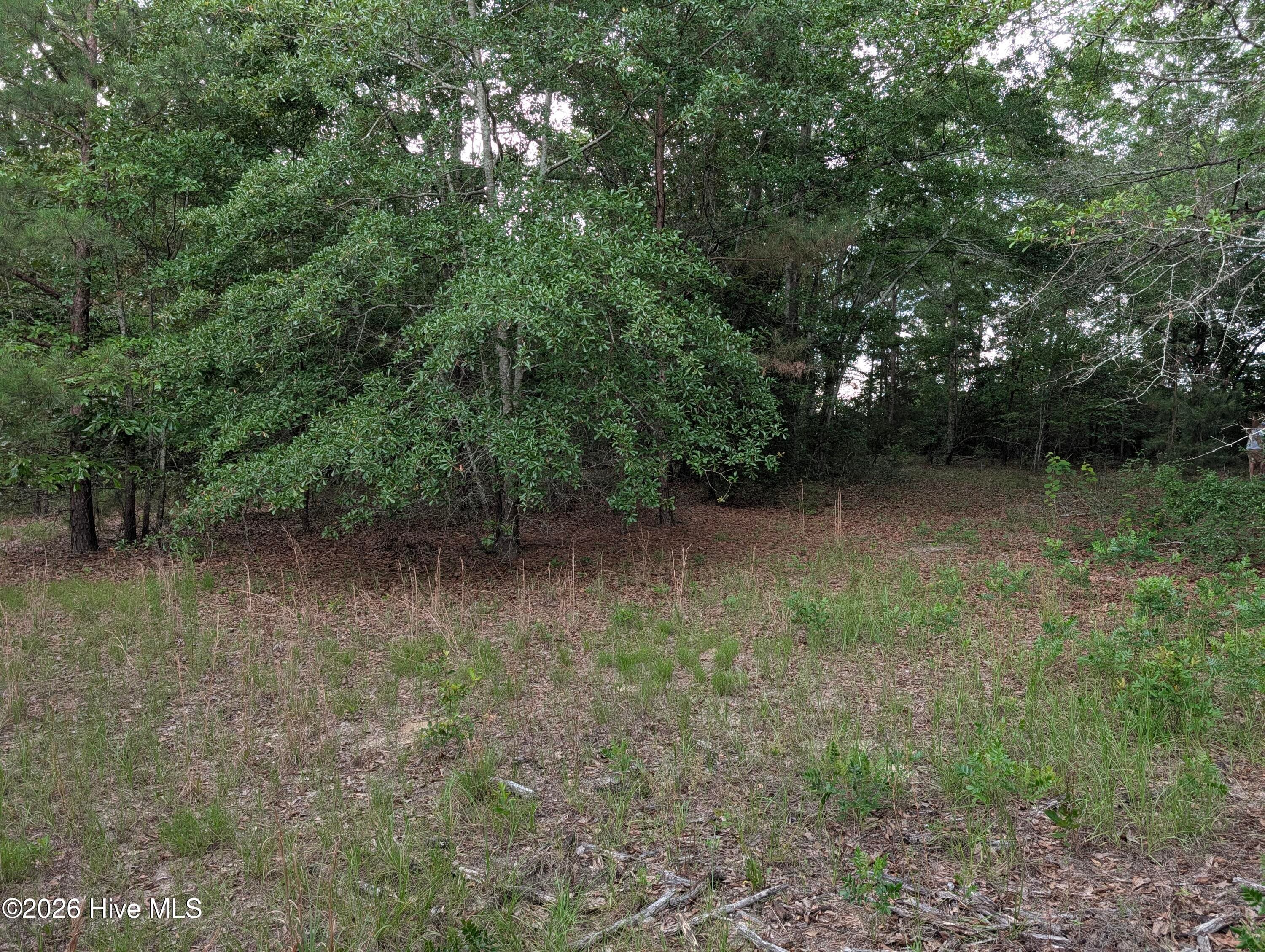 Residential Lot at 285 Garvin Drive, Wagener, SC 29164, photo 13 of 14