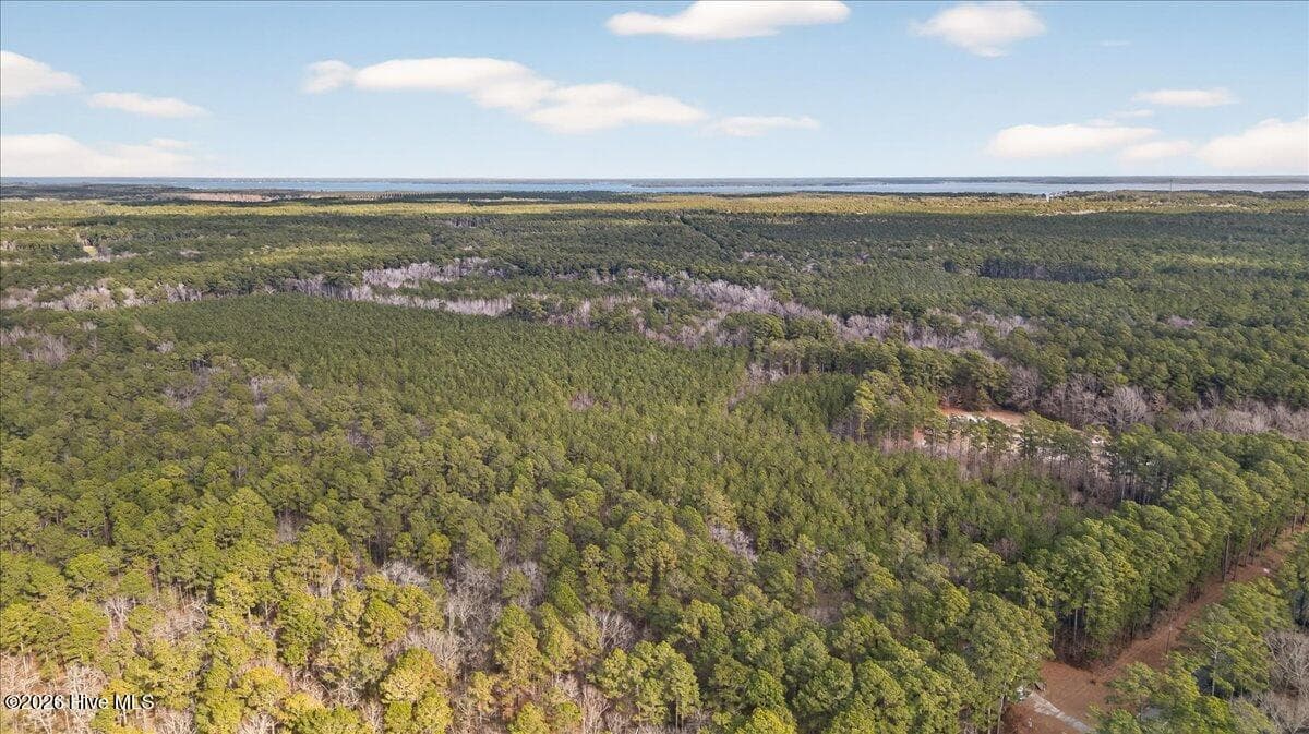 Wooded at 2162 Old Pamlico Beach Road W, Belhaven, NC 27810, photo 18 of 25