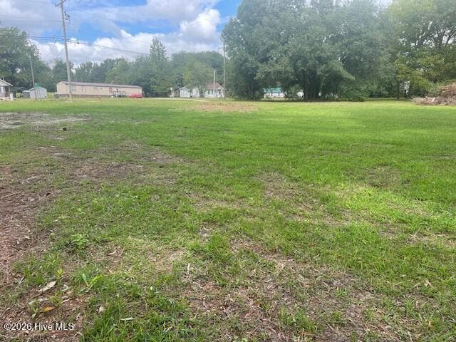 Commercial Sale at 325 N Main Street, Bladenboro, NC 28320, photo 2 of 6