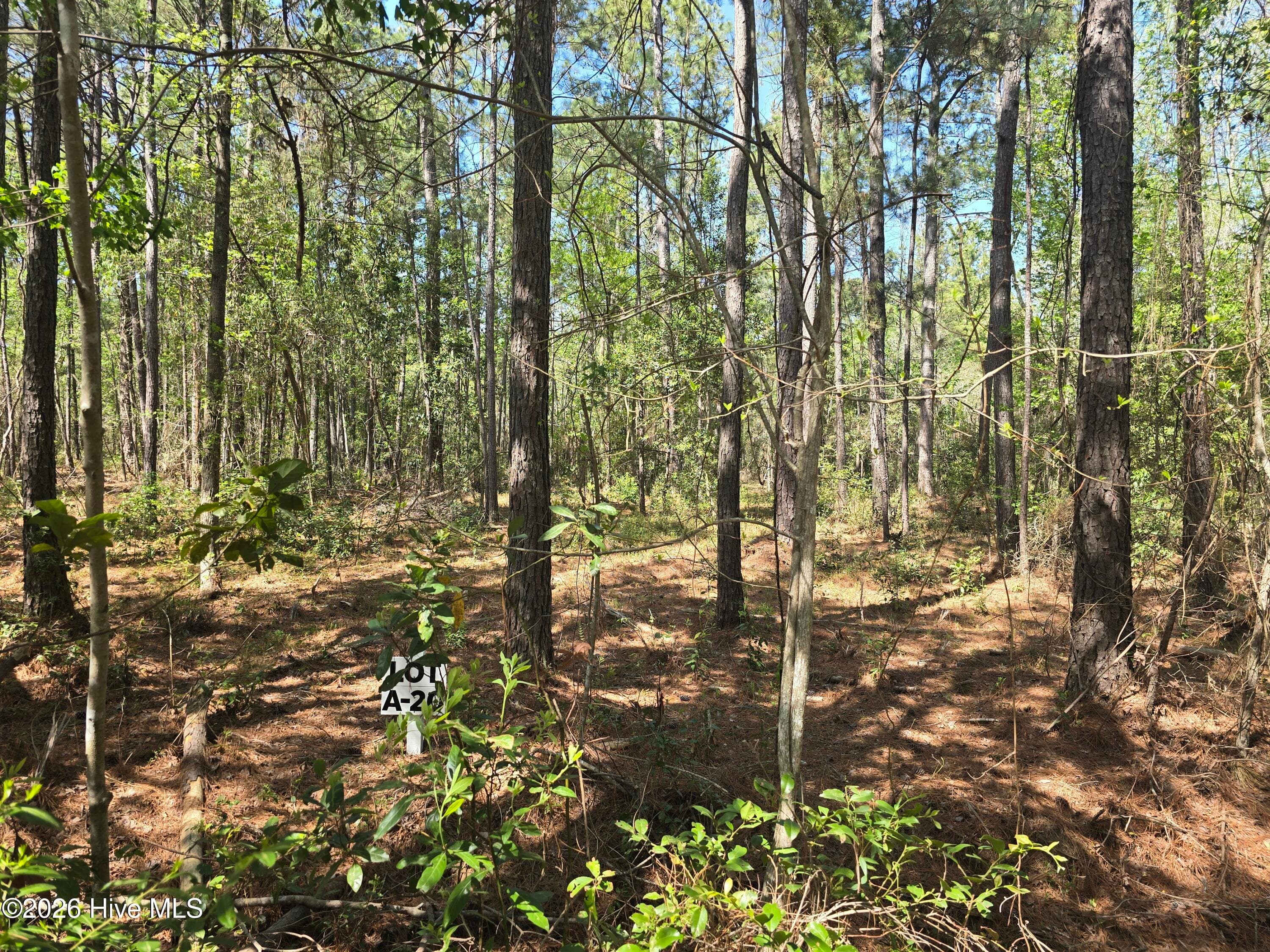 Residential Lot at Lot A-20 A-20 Renee Drive, Hampstead, NC 28443, photo 2 of 6