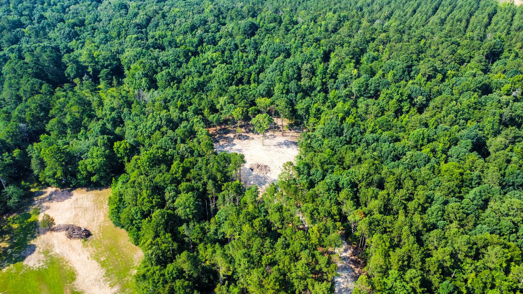 Undeveloped at 0 Backway Road, Lincolnton, GA 30817, photo 14 of 48