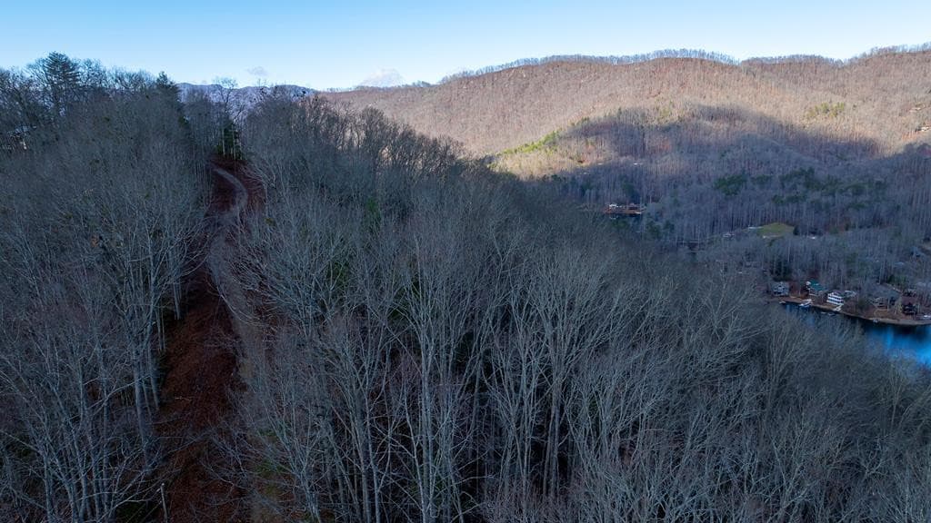 Land at 0 Golf Course Road, Robbinsville, NC 28771, photo 6 of 7