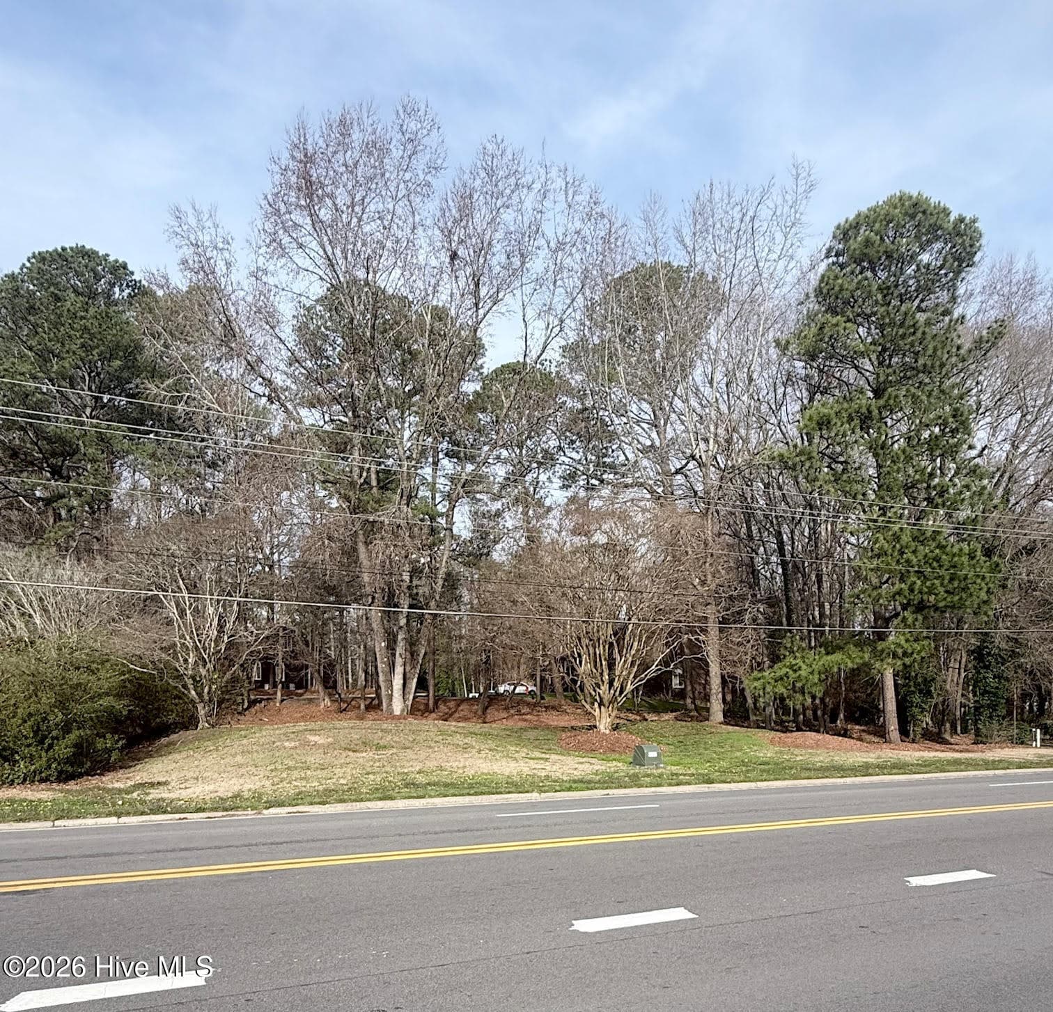 Undeveloped at 0 Forest Hills Road NW, Wilson, NC 27896, photo 3 of 4