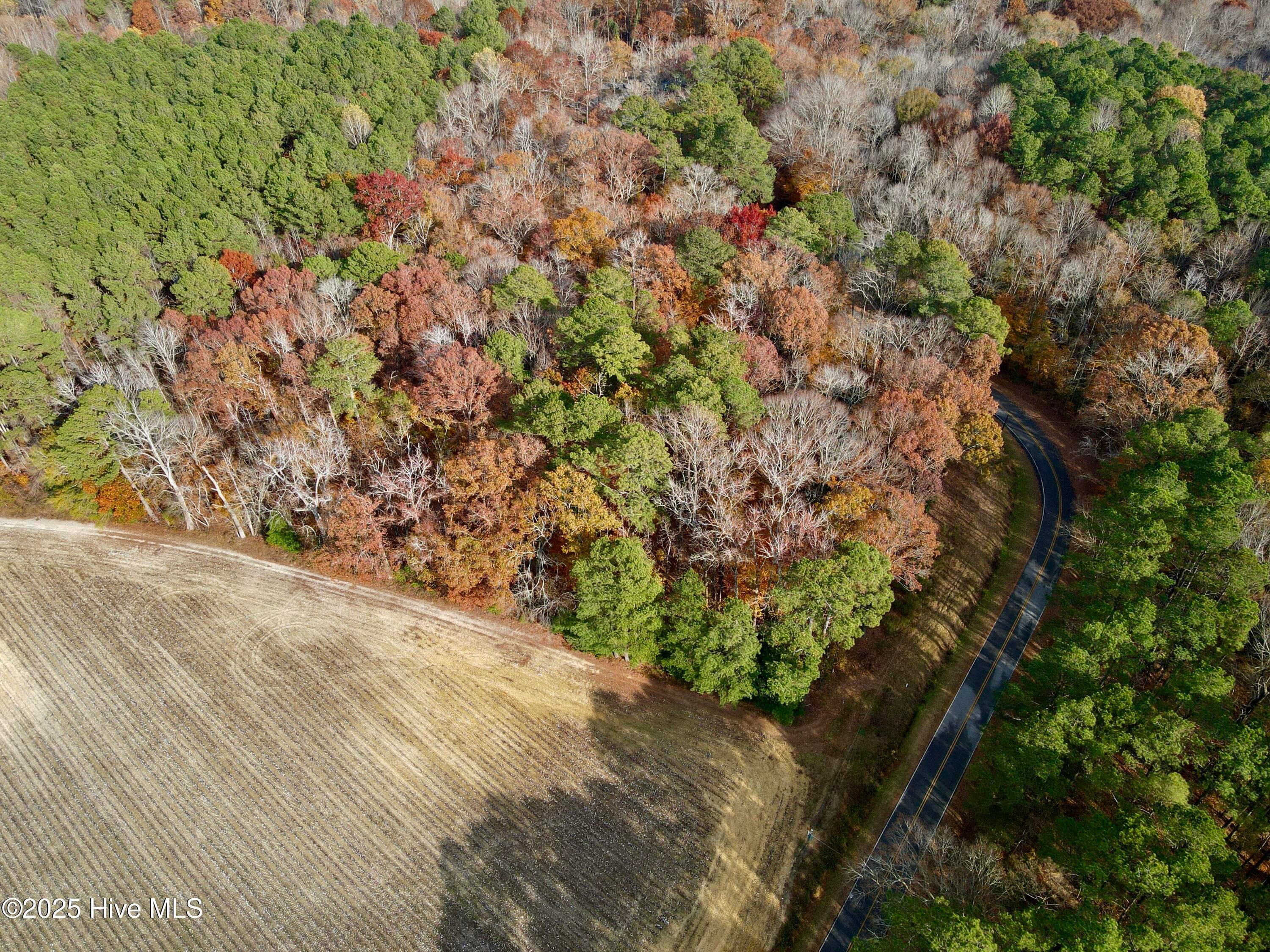 Wooded at 0 Williams Road, Williamston, NC 27892, photo 5 of 16