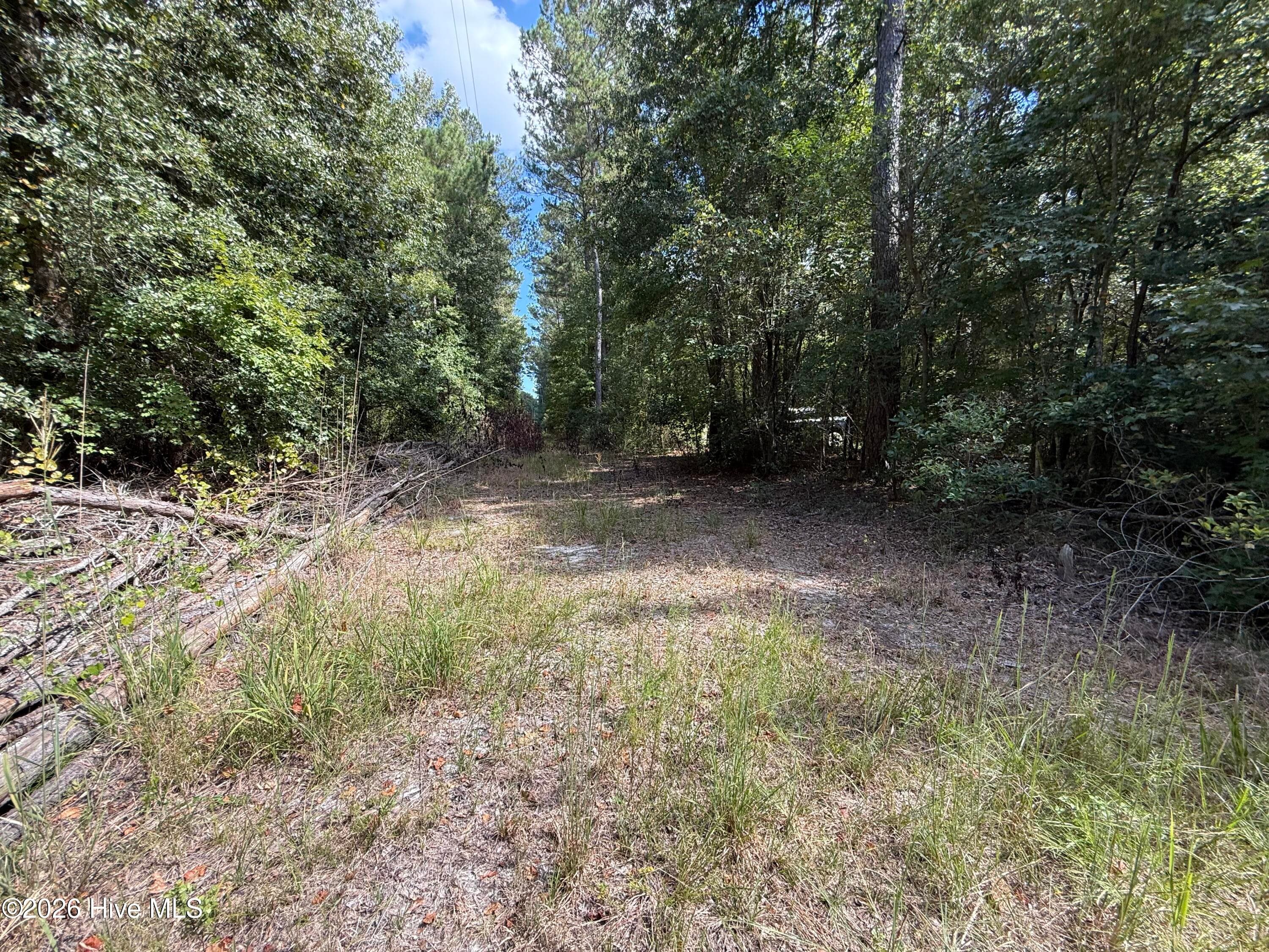 Wooded at Tbd Point Caswell Road, Atkinson, NC 28421, photo 4 of 16
