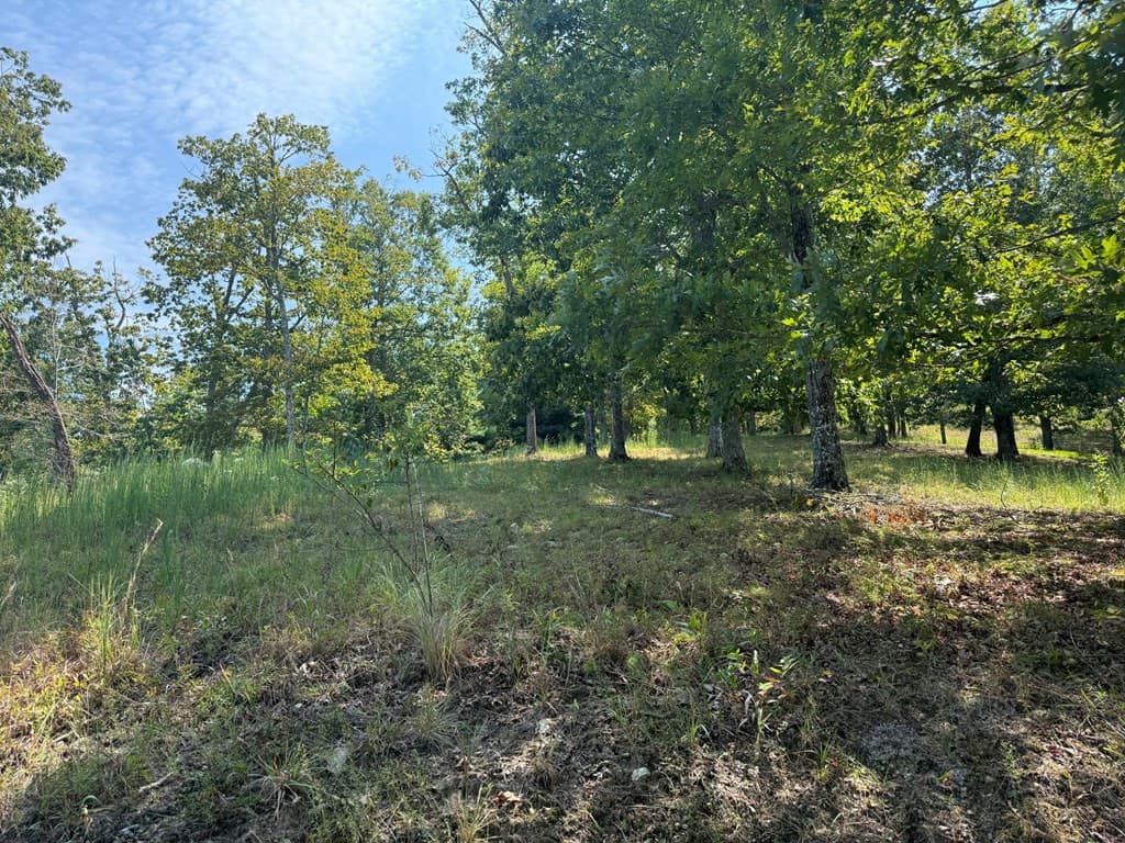 Residential Lot at 123 Madison Lane, Murphy, NC 28906, photo 3 of 10