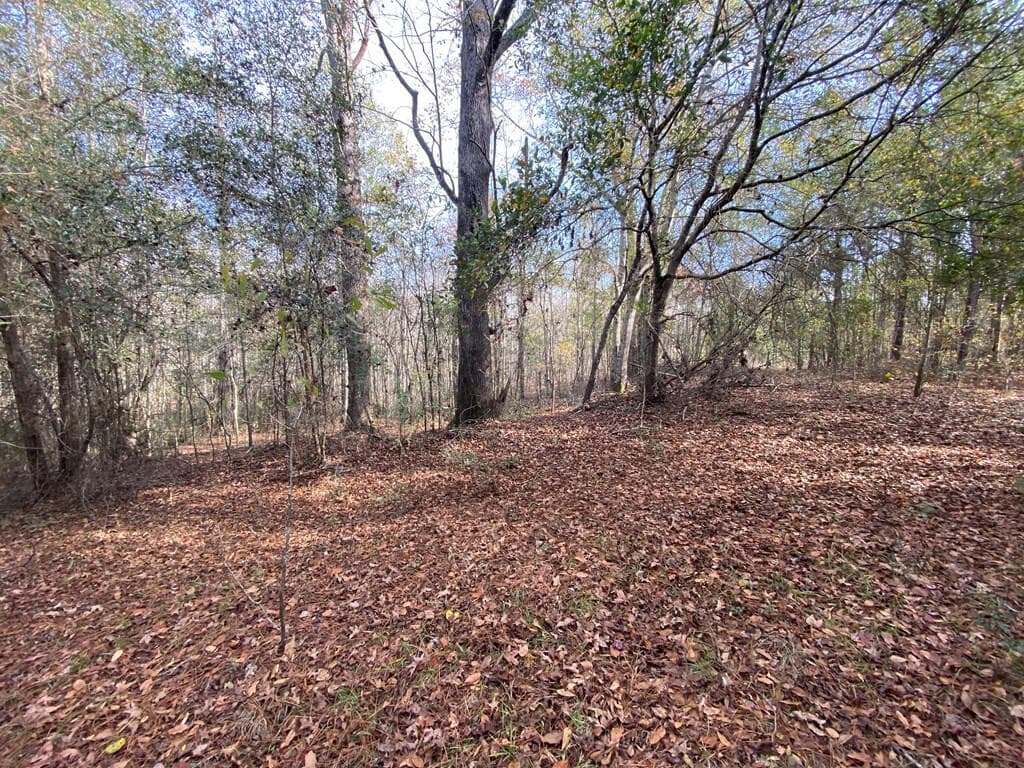 Residential Lot at Lot 14 14 Robin Boulevard, Swainsboro, GA 30401, photo 3 of 8