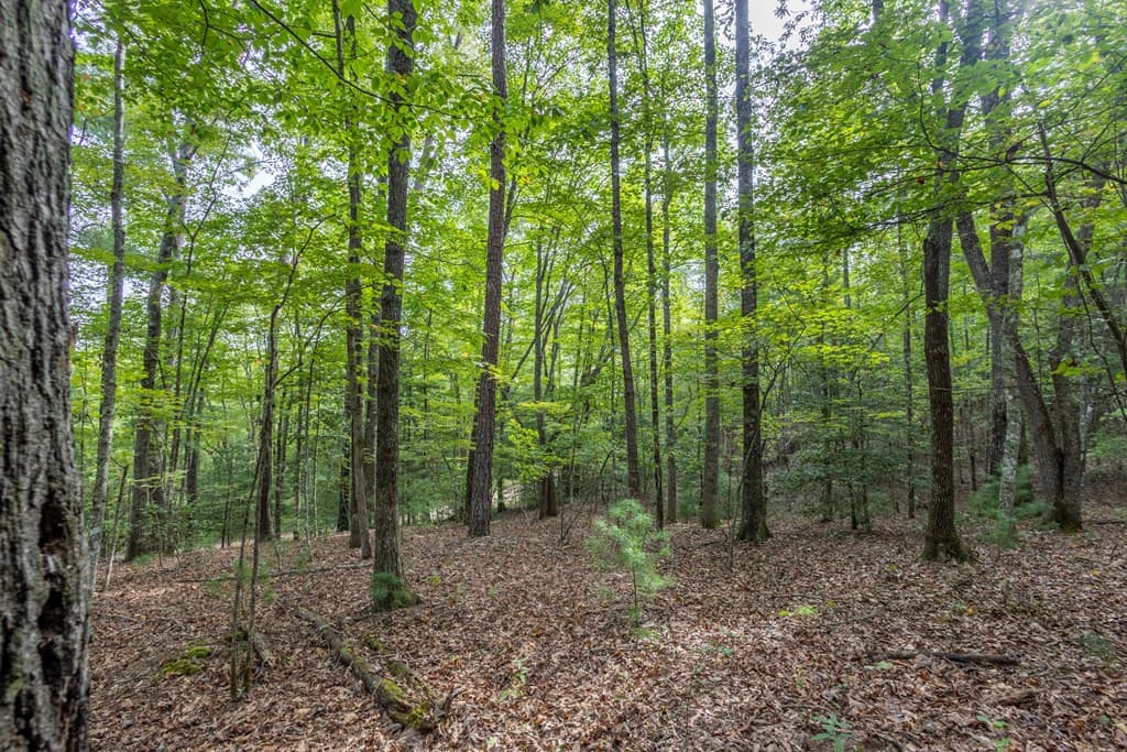 Residential Lot at 2 Ac 6 Horvath Road, Murphy, NC 28906, photo 3 of 12