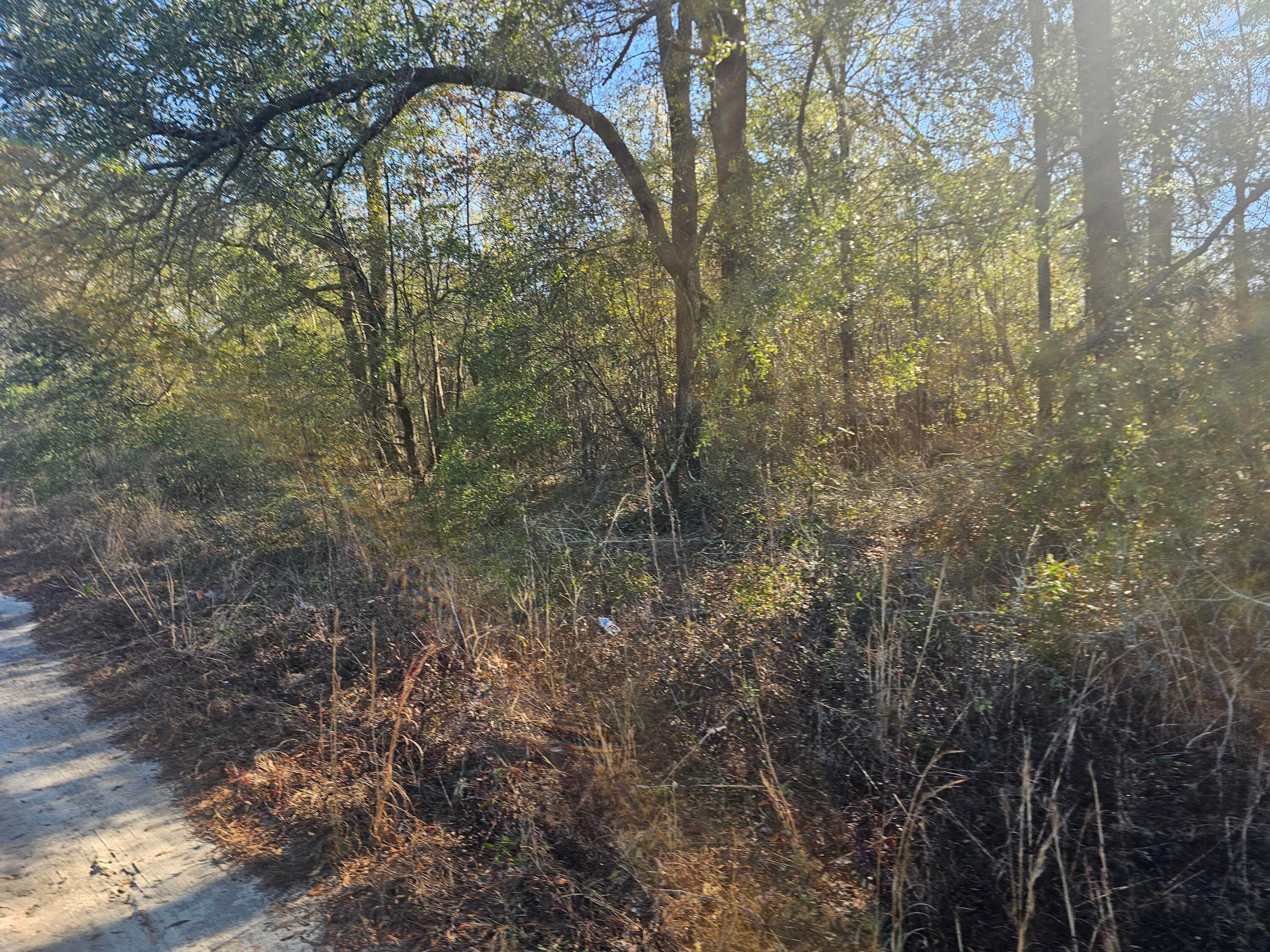 Residential Lot at 01 River Road, Waynesboro, GA 30830, photo 4 of 5