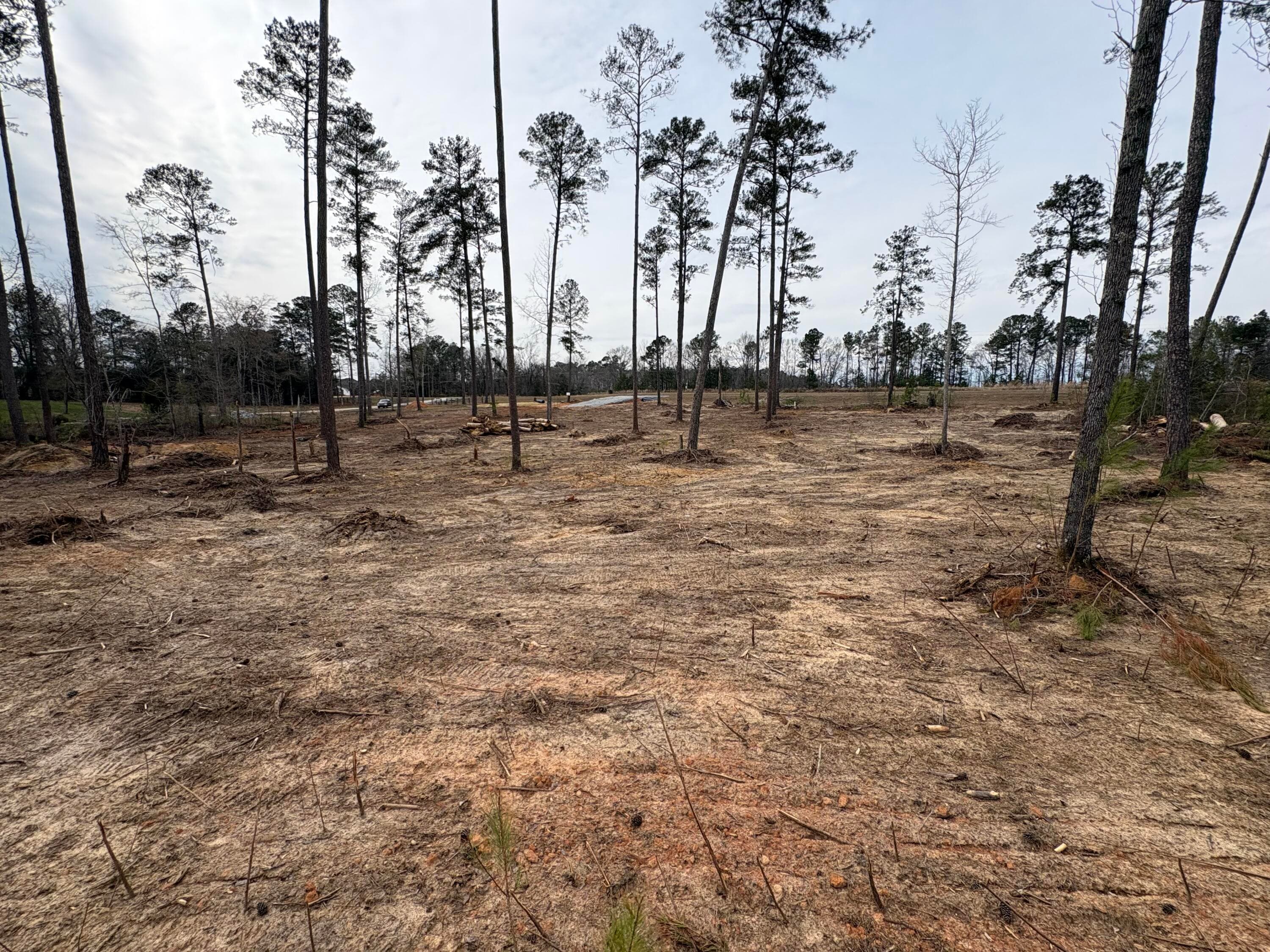 Residential Lot at 5672 White Oak Road, Appling, GA 30802, photo 6 of 8