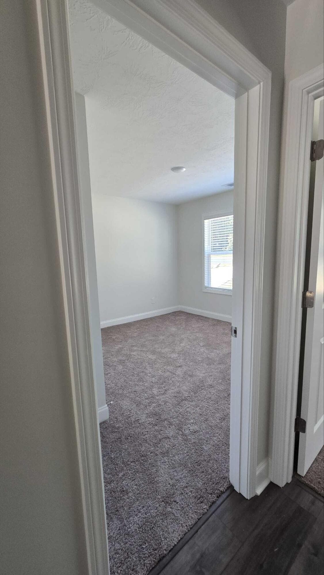 Single Family Residence at 2062 Storm Branch Road, Beech Island, SC 29842, photo 50 of 63