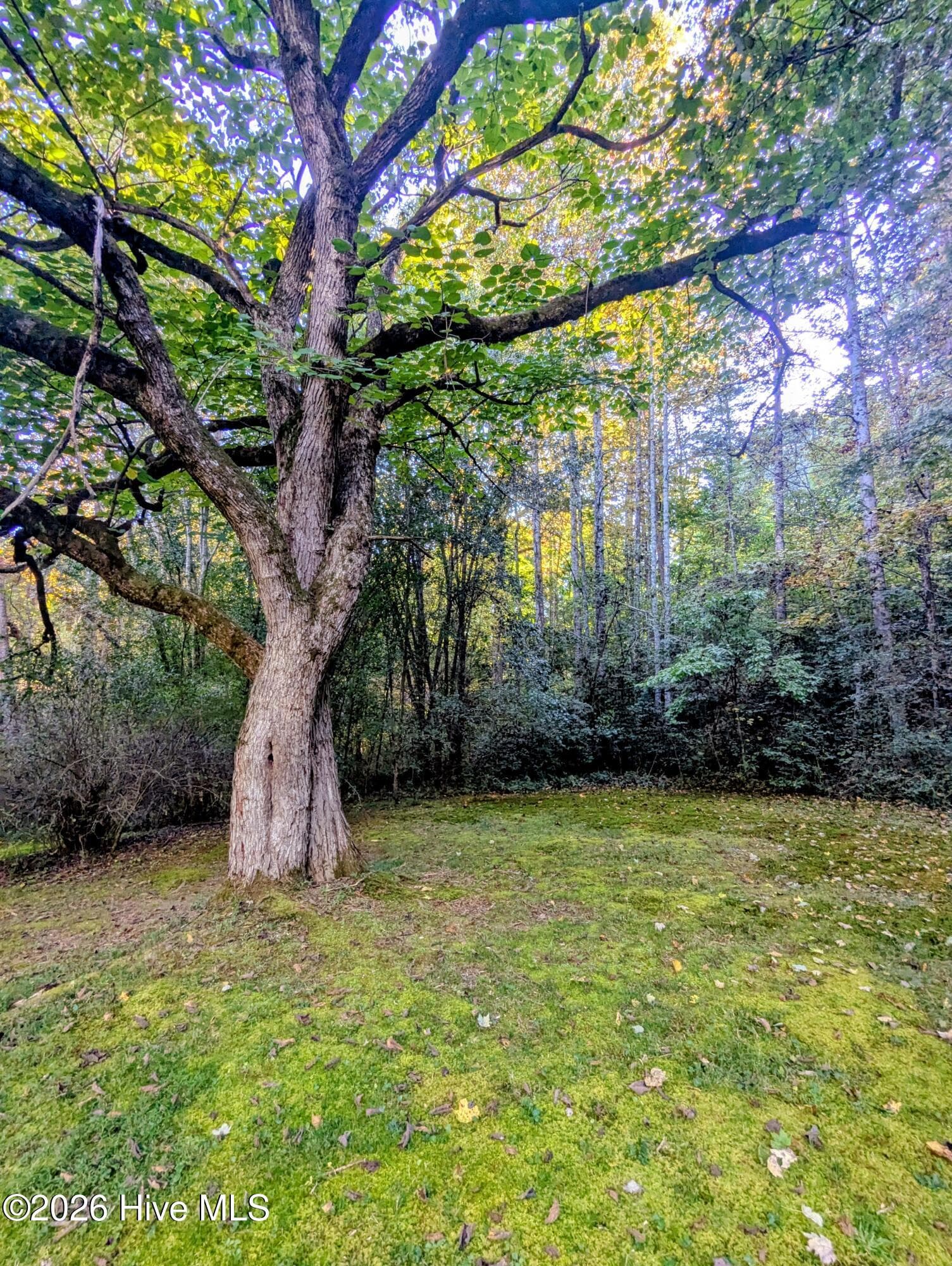 Single Family Residence at 1226 Reservoir Road, Murphy, NC 28906, photo 6 of 43