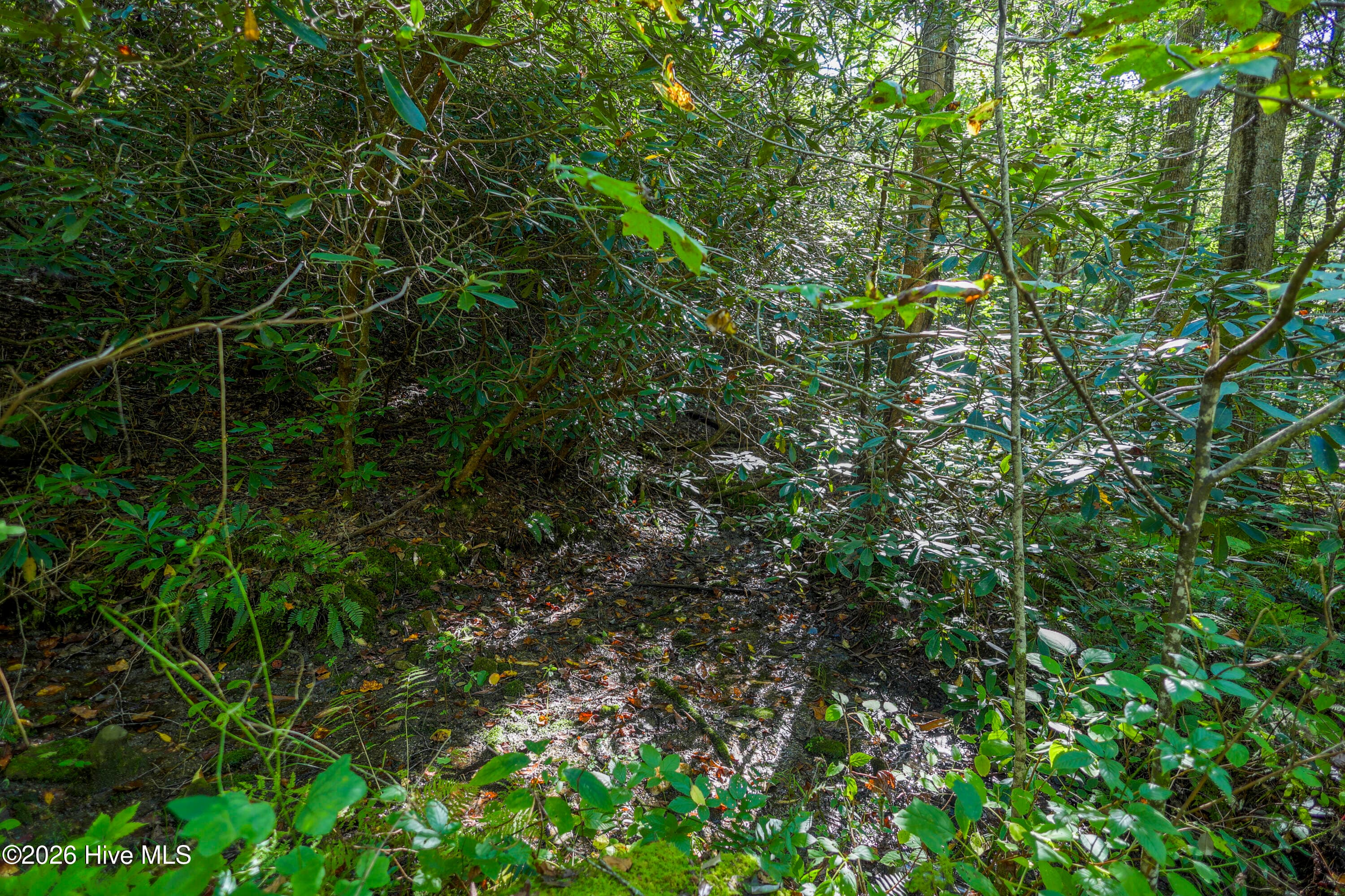 Spring - 90 Ac Tree House Road, Andrews, NC 28901