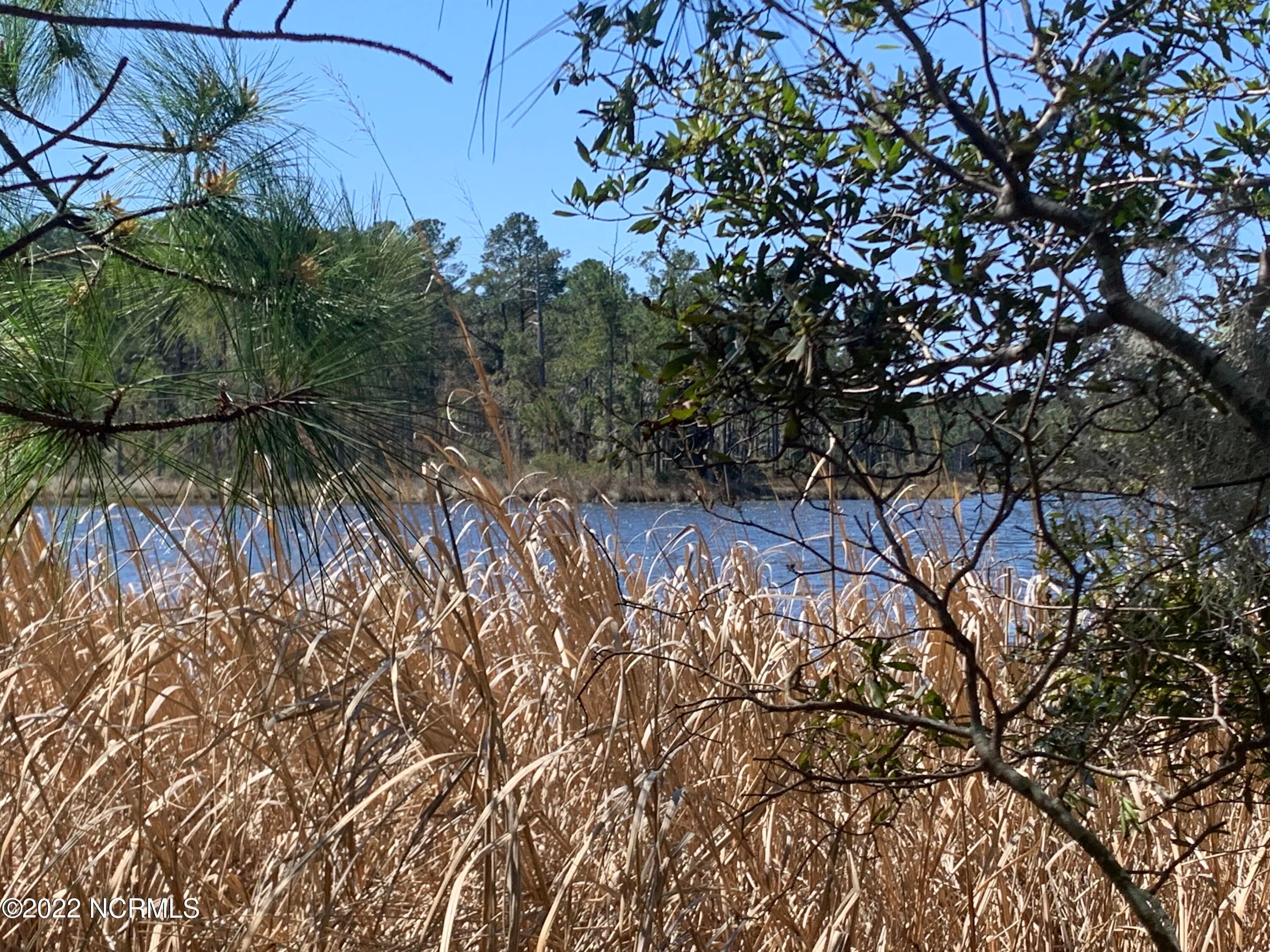 Wooded at Lot 24 24 Bailey Pointe S/D Drive, Belhaven, NC 27810, photo 12 of 19