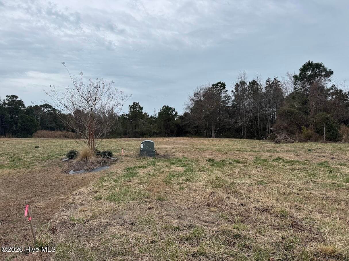 Undeveloped at 0 Horton Drive, Morehead City, NC 28557, Morehead City, photo 5 of 5