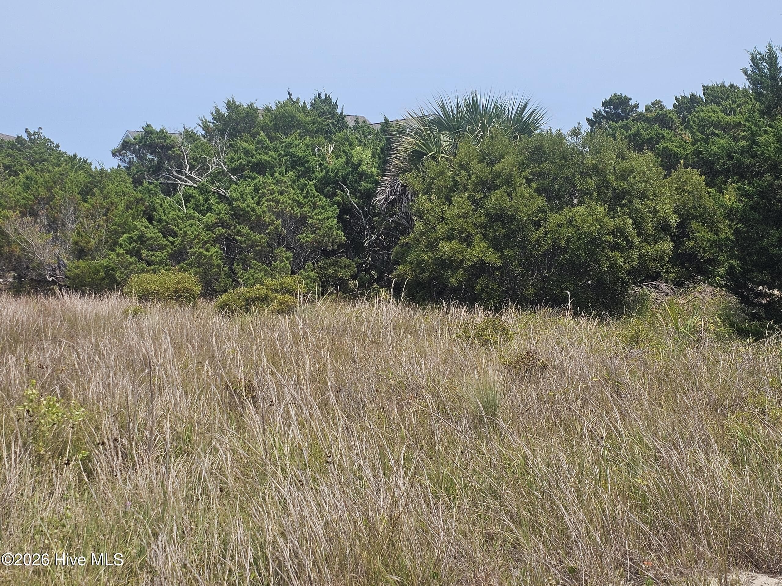 Residential Lot at 8 L-167 Black Skimmer Trail, Bald Head Island, NC 28461, photo 5 of 5
